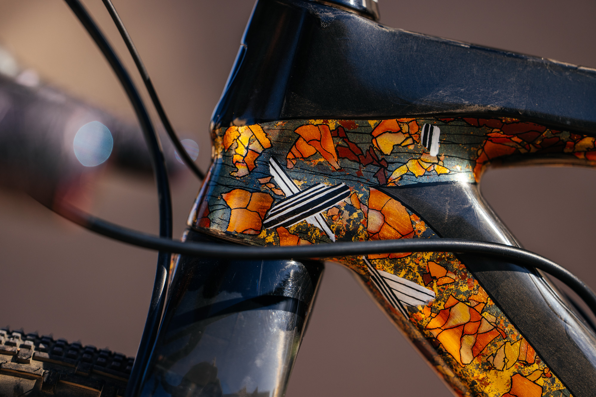 Molly and Her Hand Painted Bicycles-33