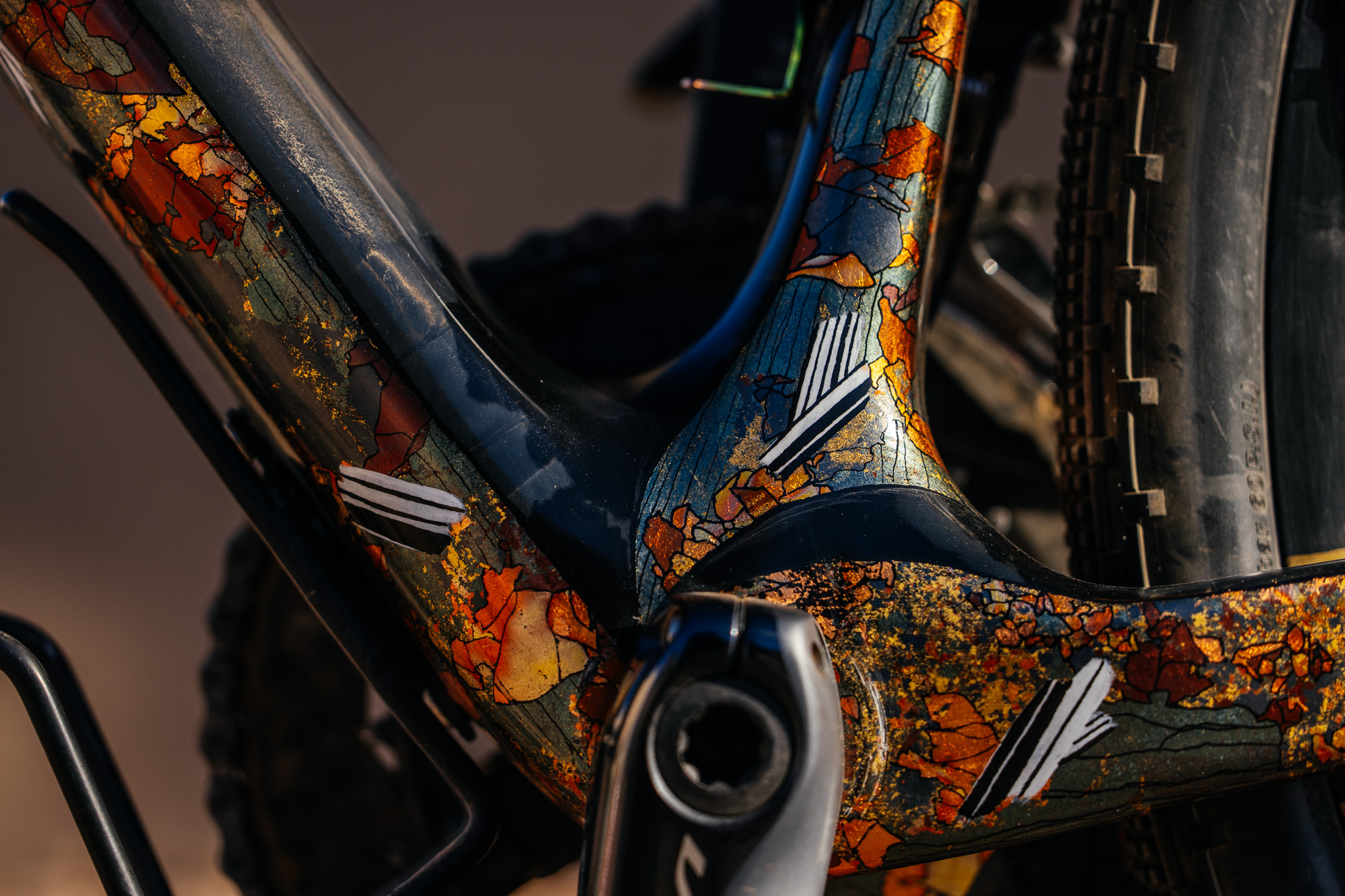 Molly and Her Hand Painted Bicycles-34