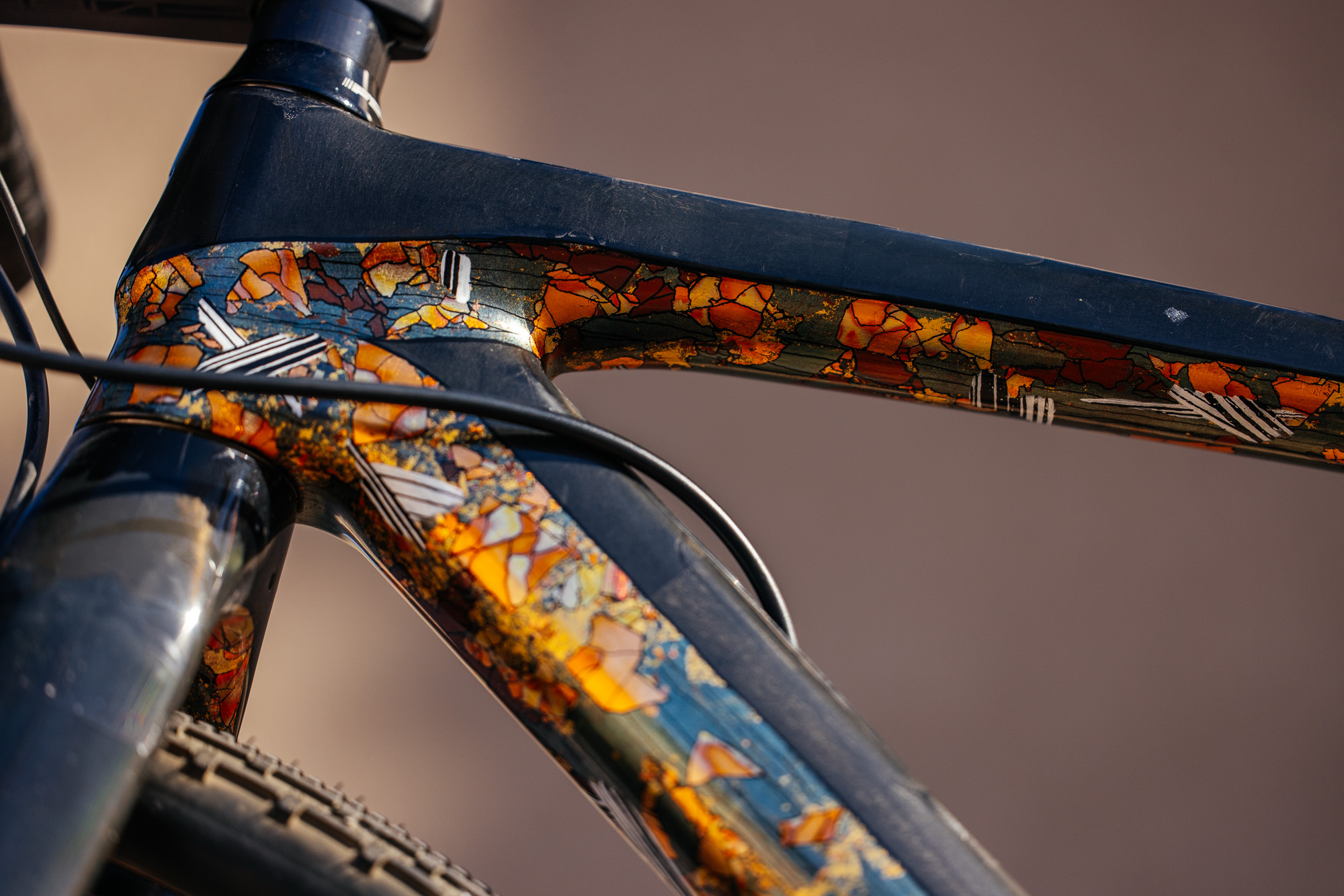 Molly and Her Hand Painted Bicycles-36