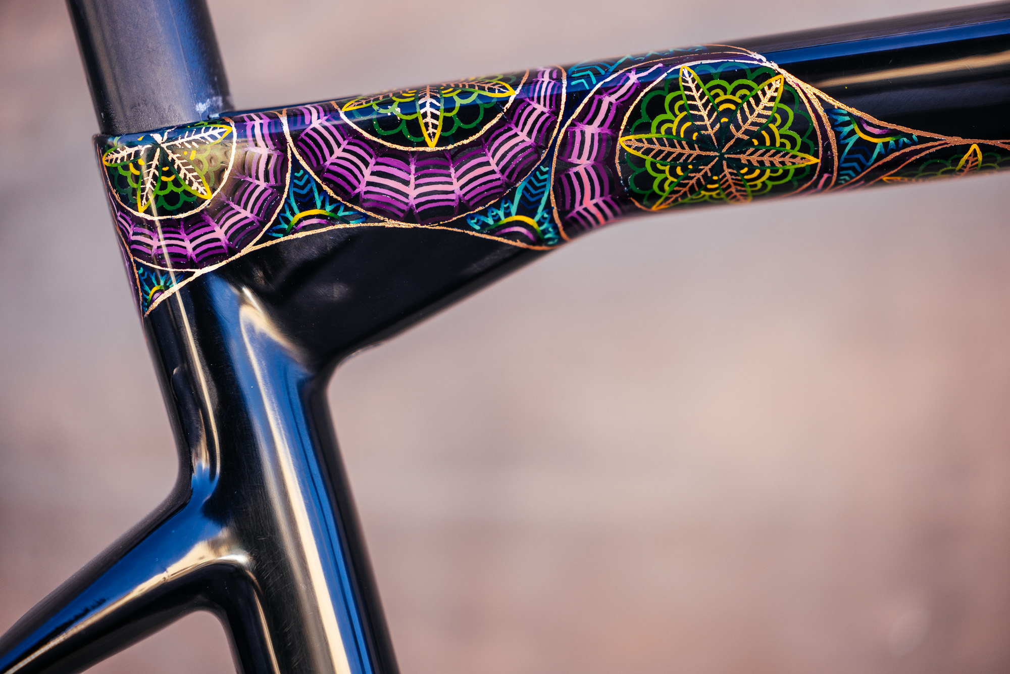 Molly and Her Hand Painted Bicycles-4