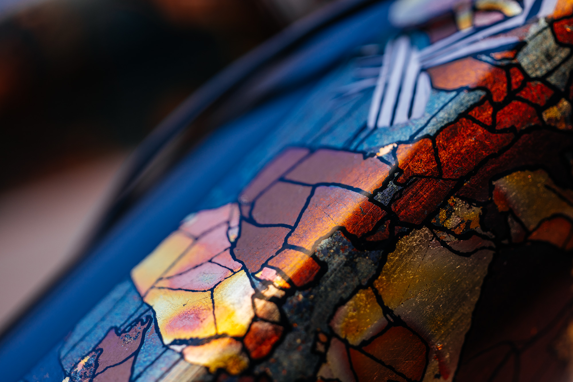 Molly and Her Hand Painted Bicycles-40