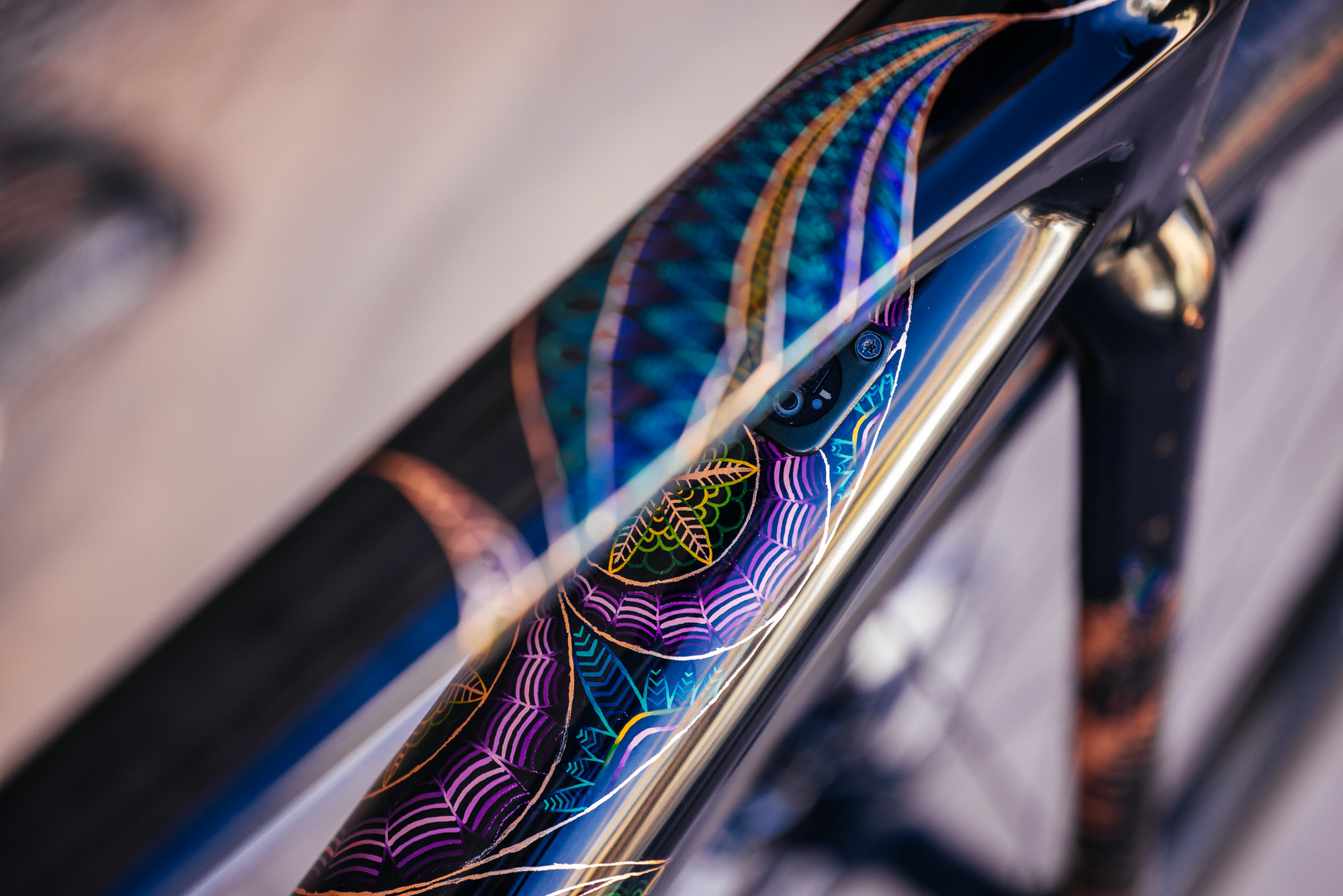 Molly and Her Hand Painted Bicycles-47