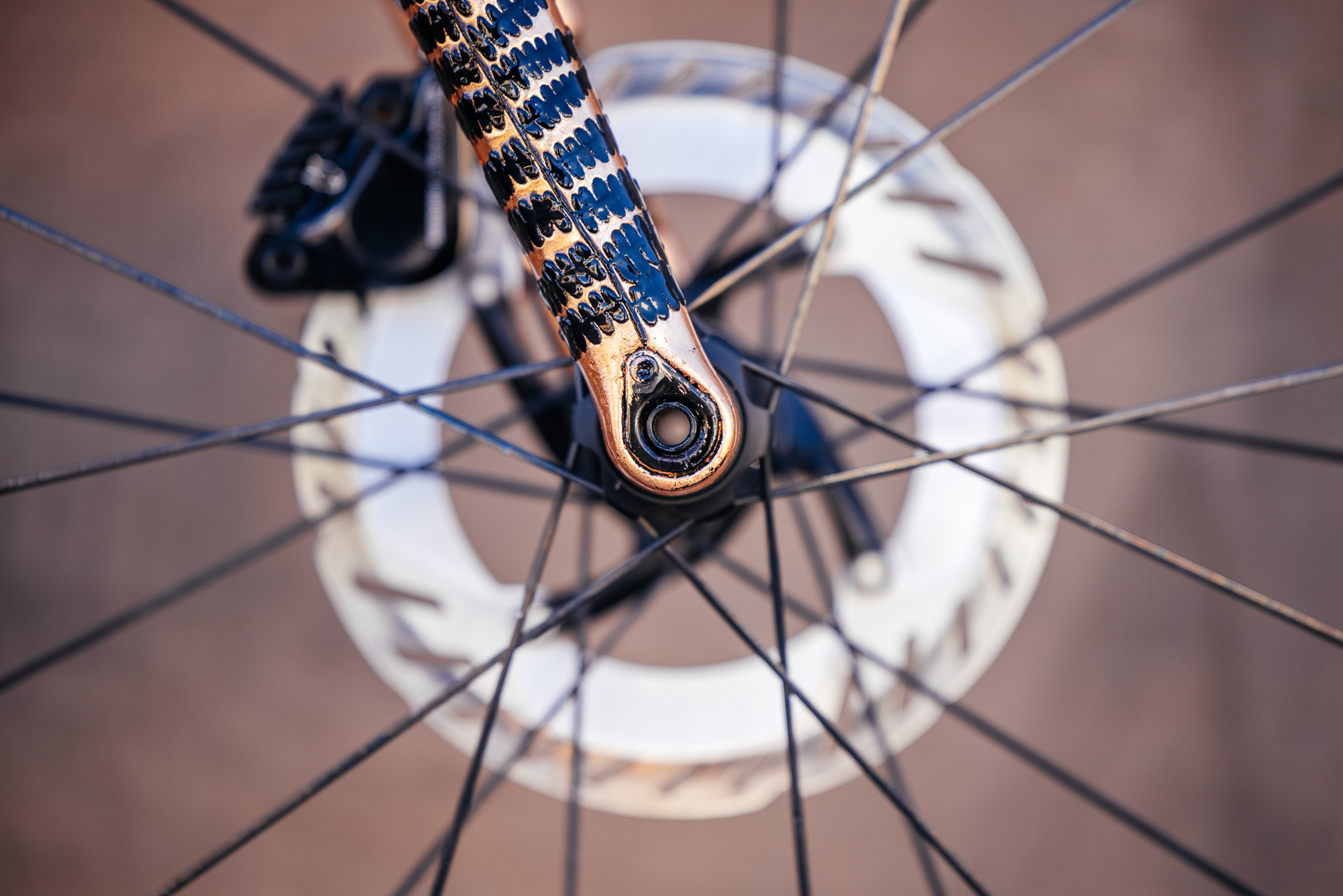 Molly and Her Hand Painted Bicycles-5