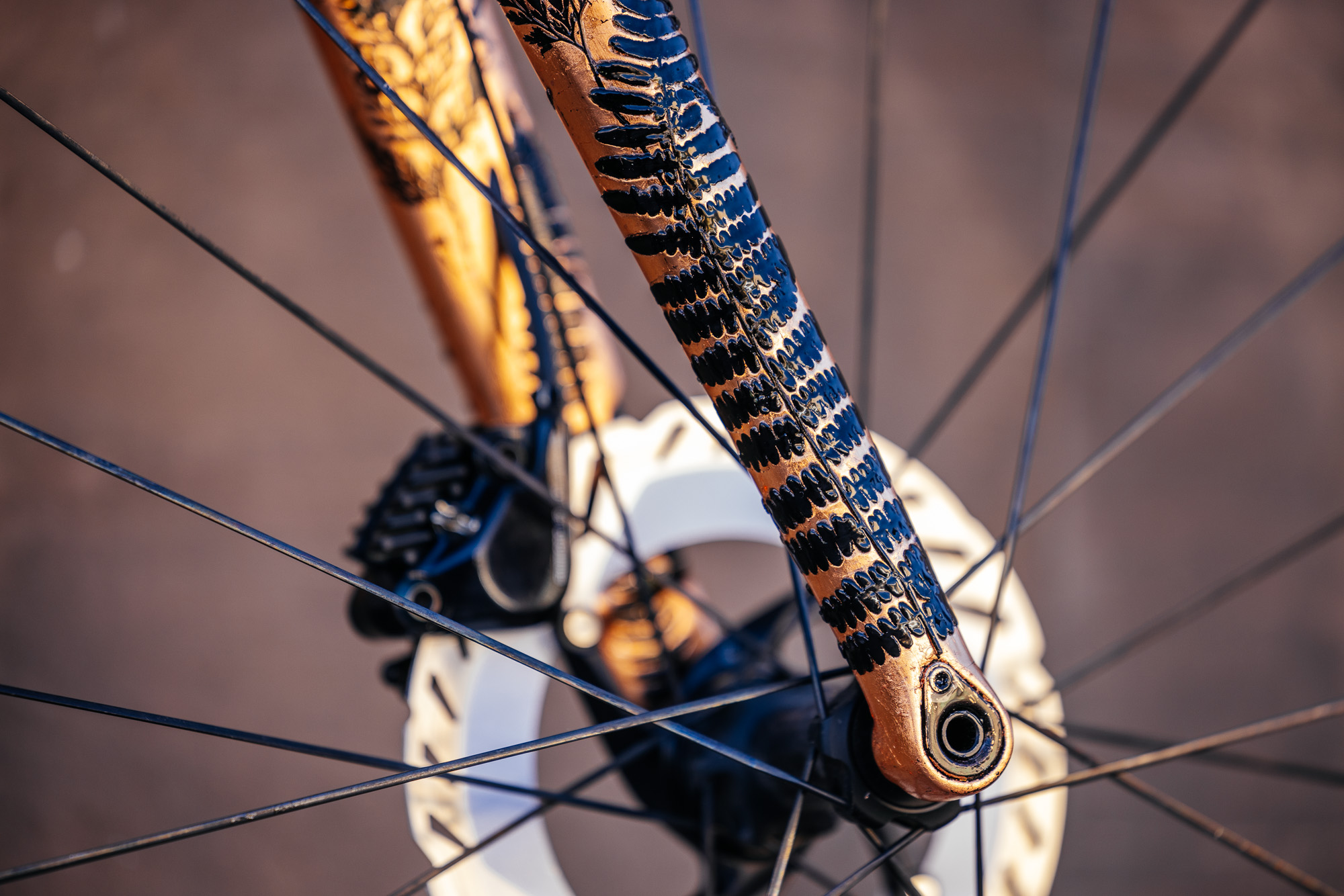 Molly and Her Hand Painted Bicycles-9