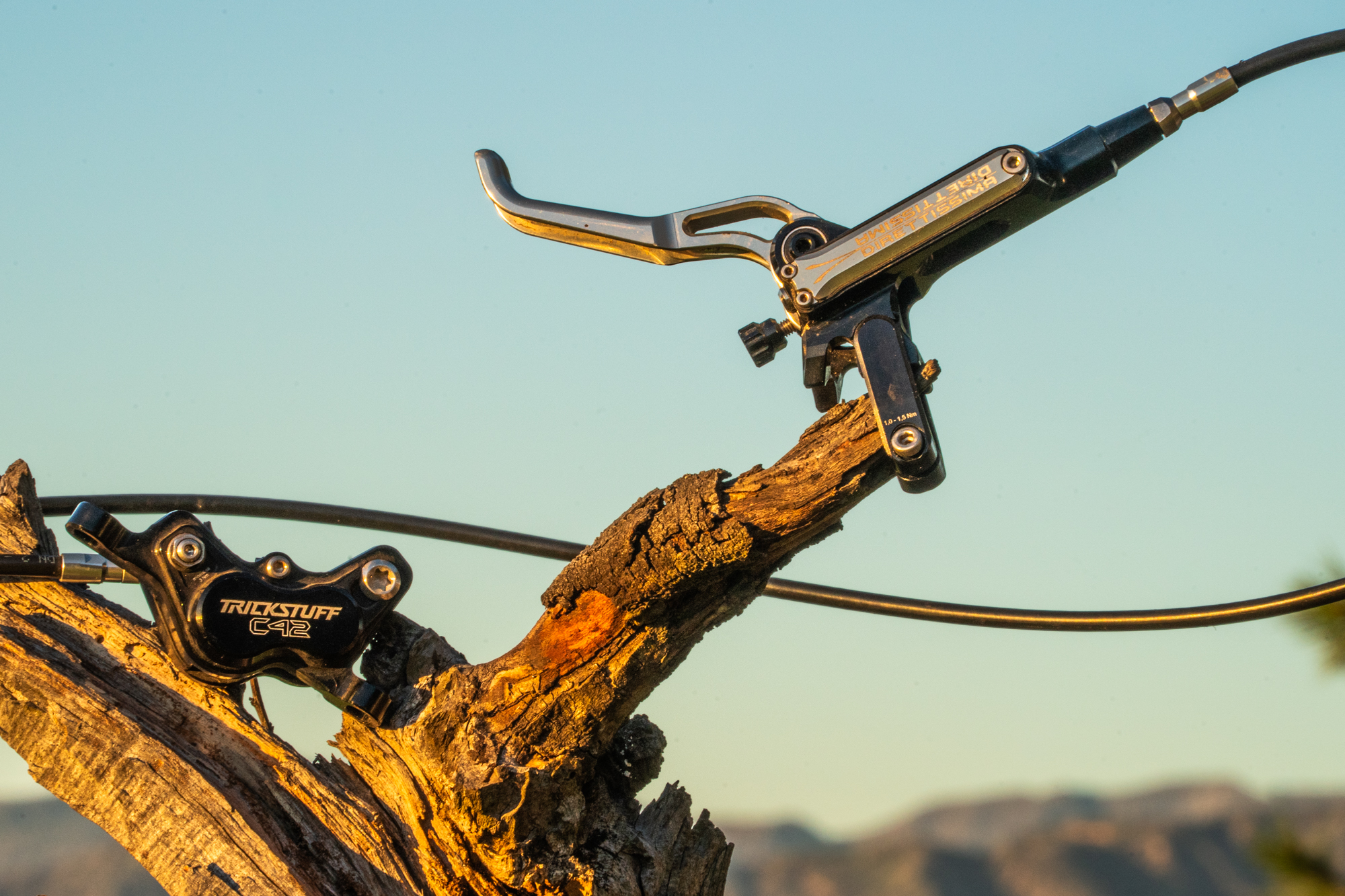 Trickstuff Direttissima Brake Review: Quality Control