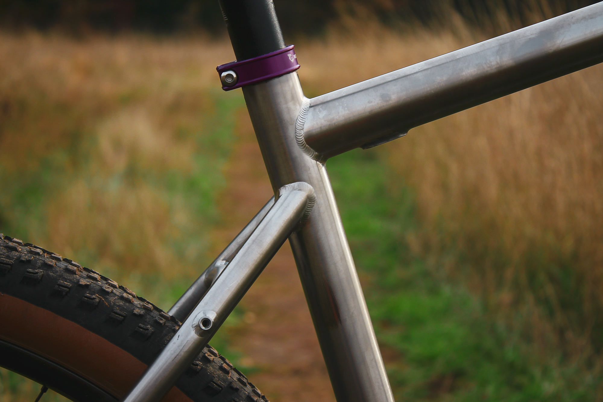 Chaparral Angeles Review: The Magic Footprint