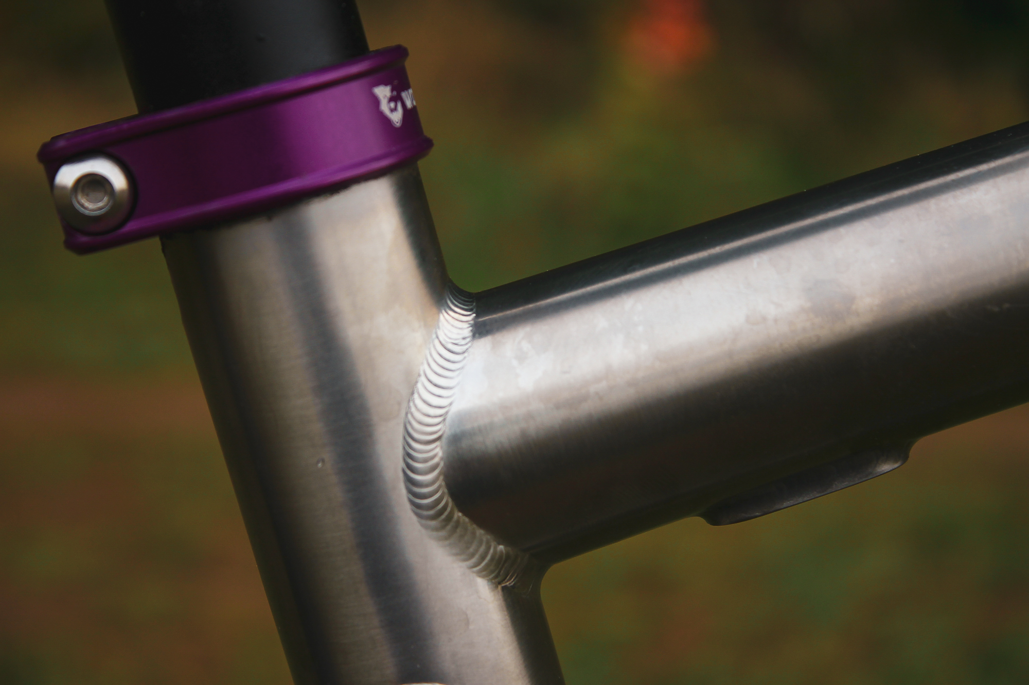 Chaparral Angeles Review: The Magic Footprint