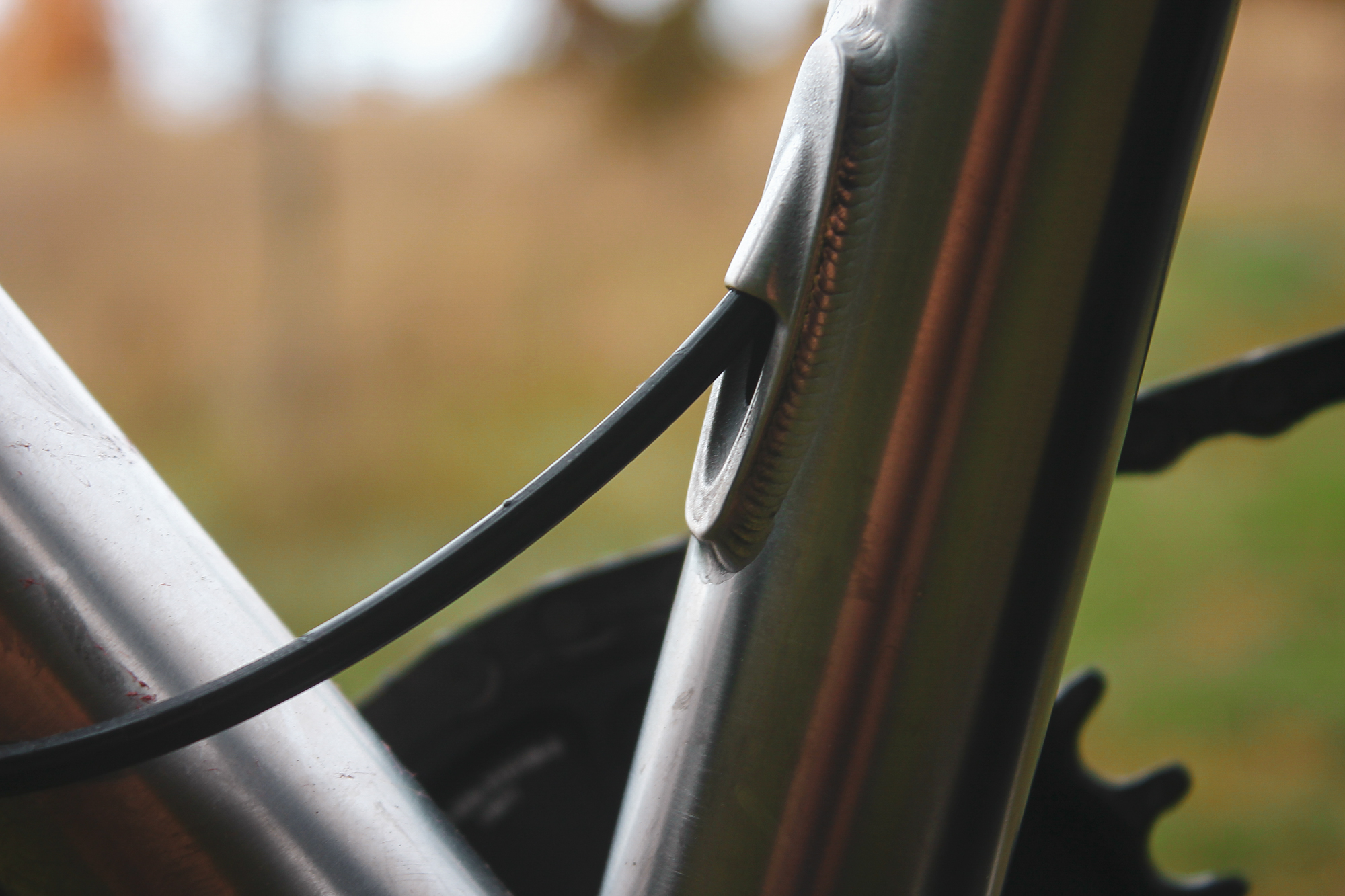 Chaparral Angeles Review: The Magic Footprint