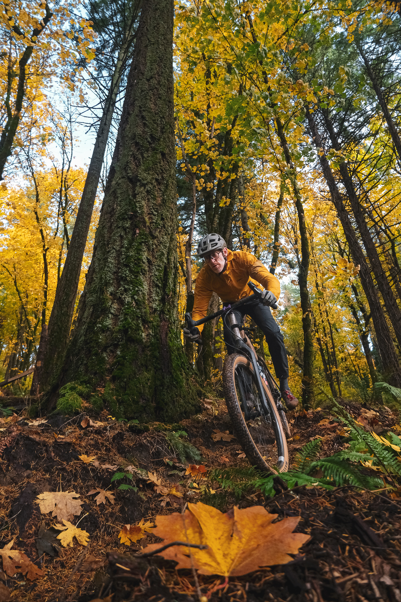 Chaparral Angeles Review: The Magic Footprint