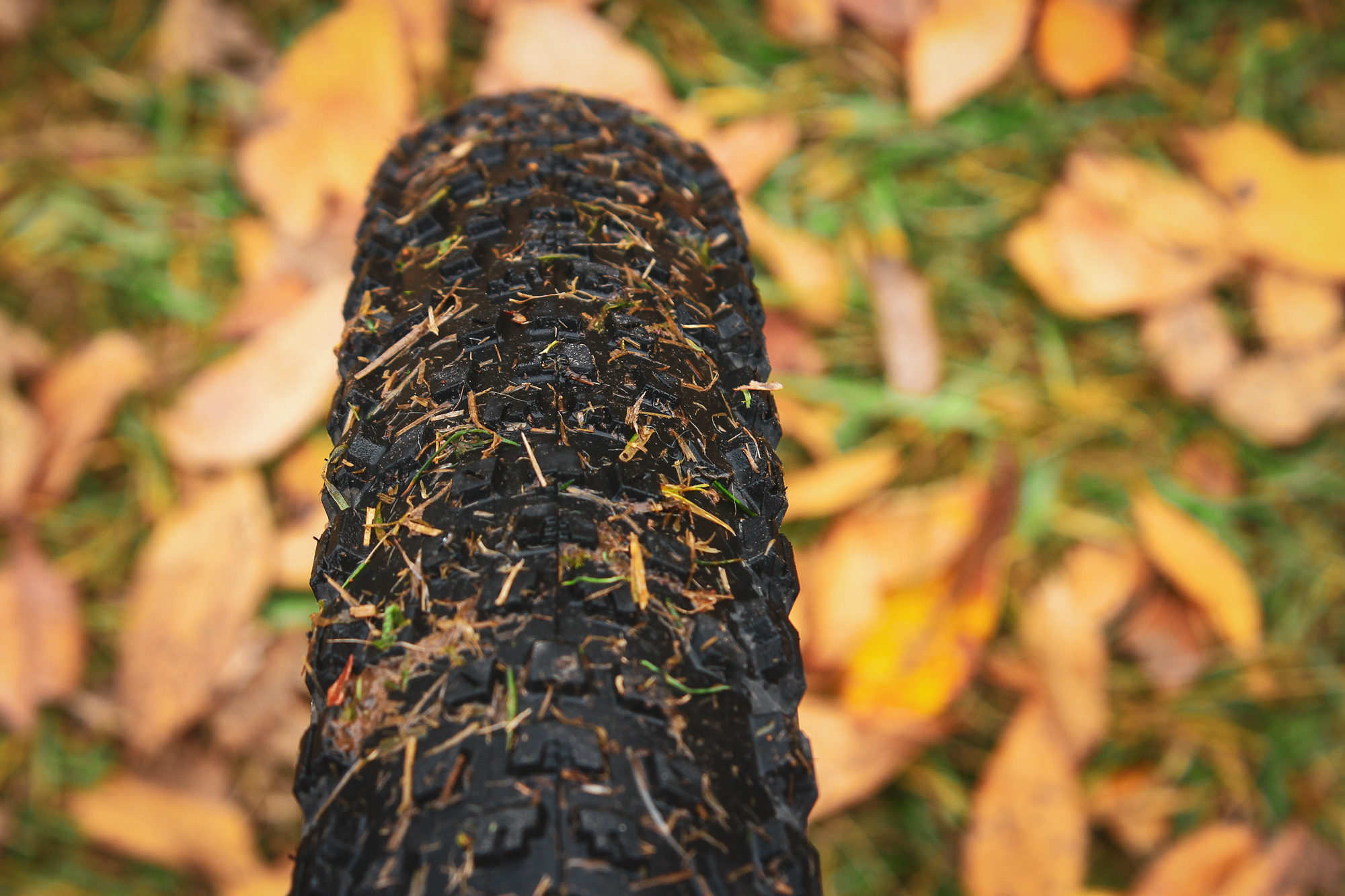 Chaparral Angeles Review: The Magic Footprint