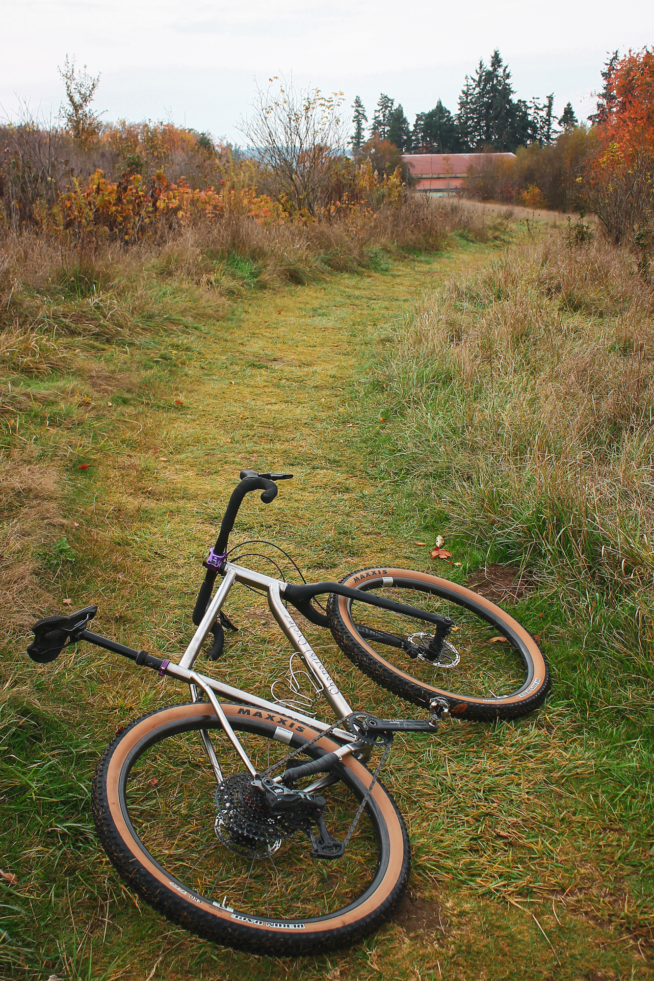 Chaparral Angeles Review: The Magic Footprint