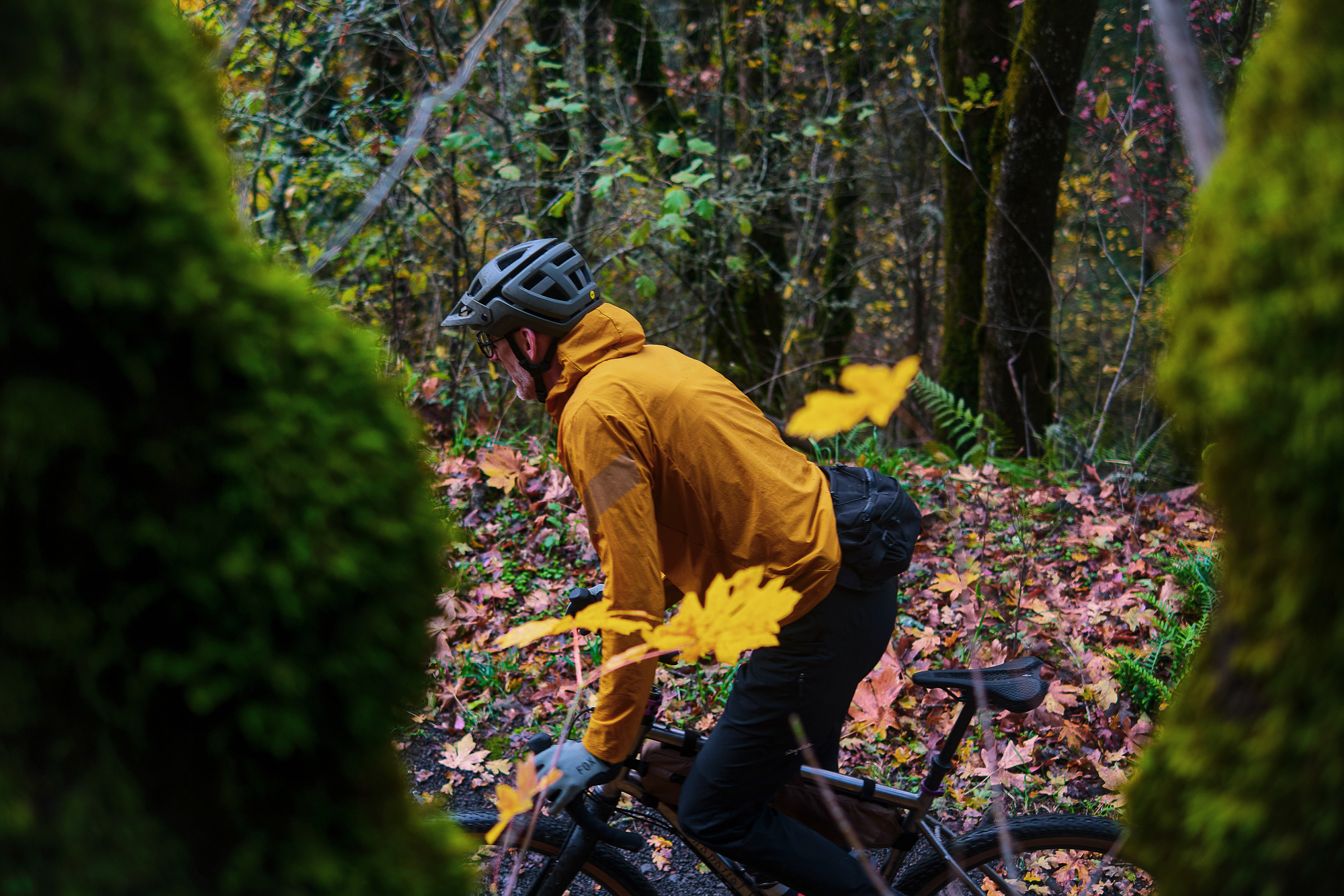 Chaparral Angeles Review: The Magic Footprint