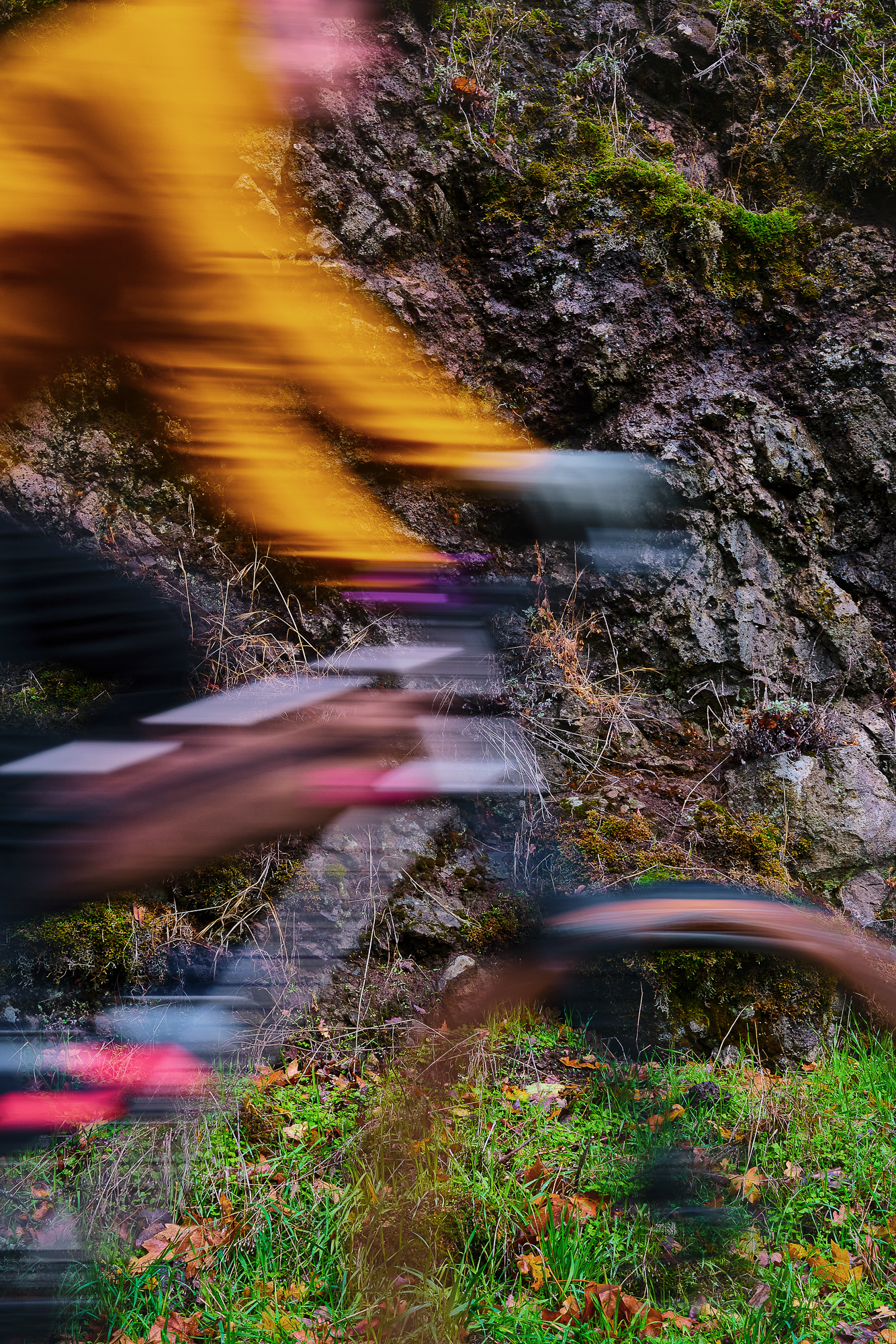 Chaparral Angeles Review: The Magic Footprint