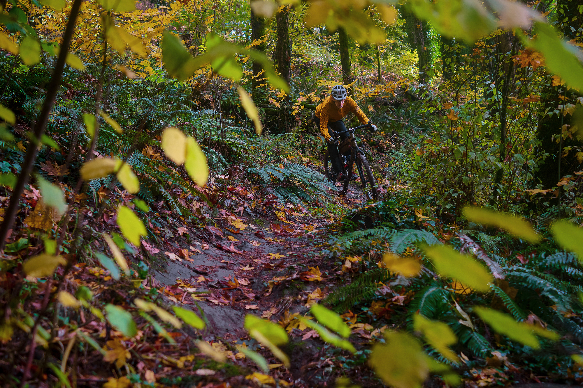 Chaparral Angeles Review: The Magic Footprint