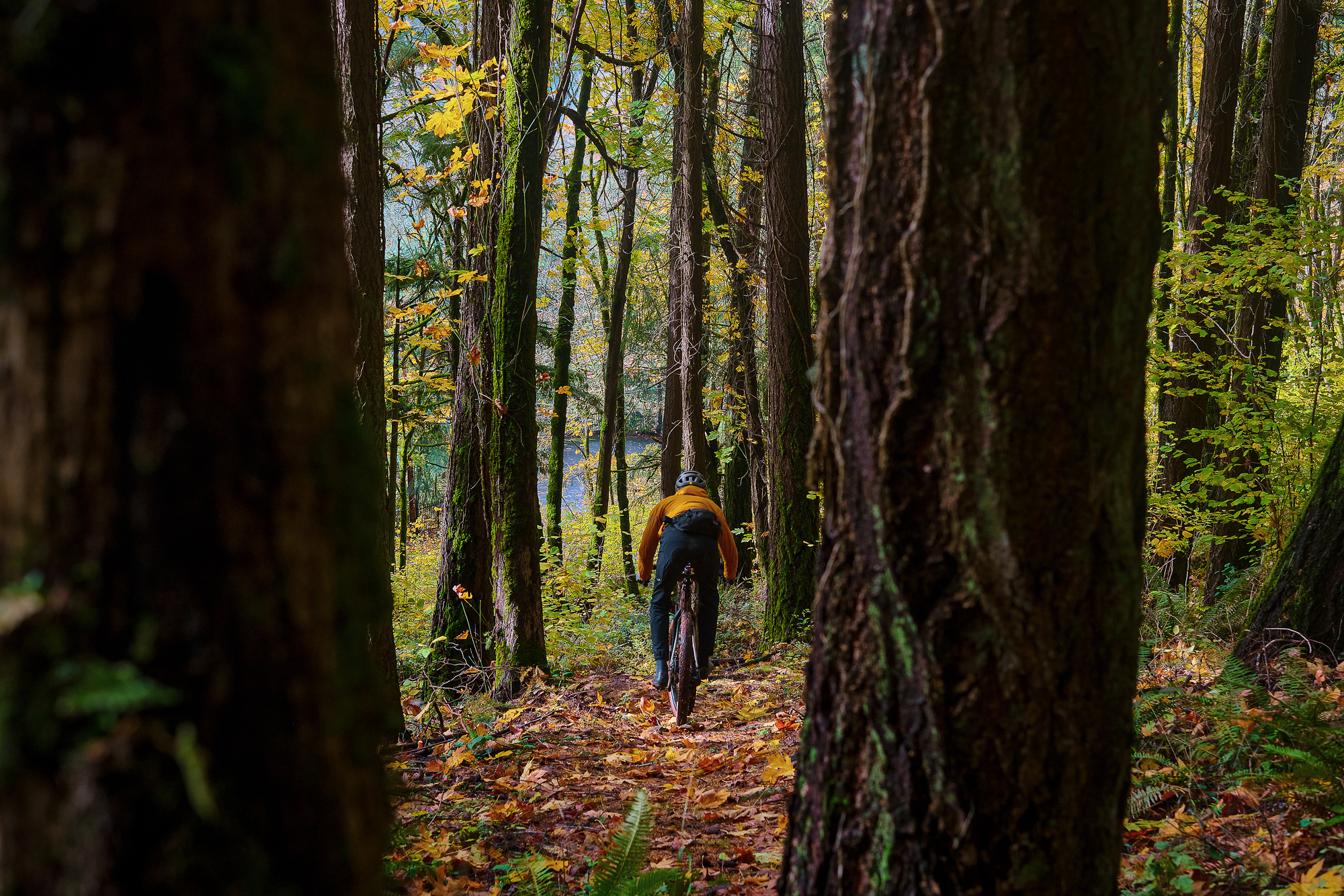 Chaparral Angeles Review: The Magic Footprint