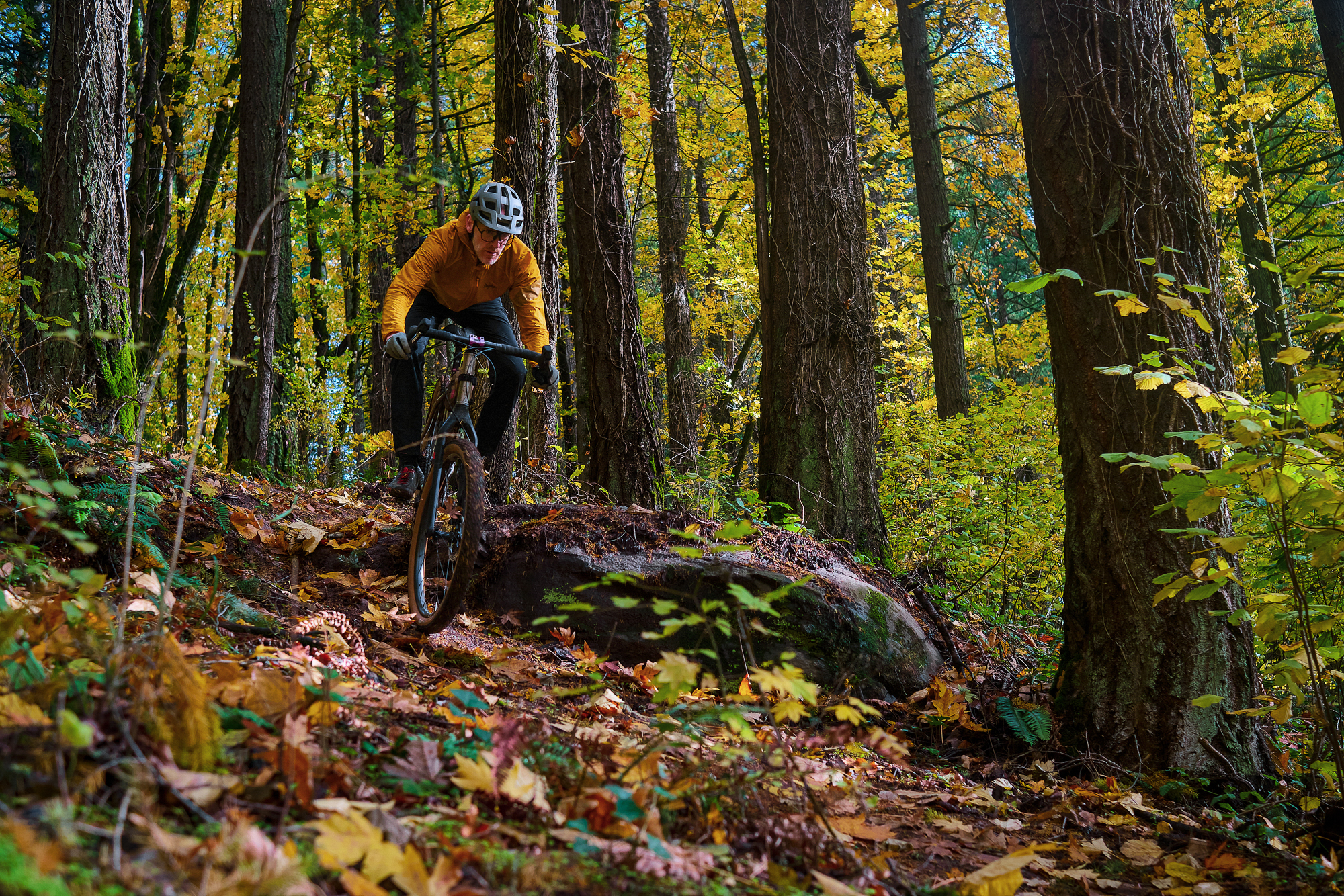 Chaparral Angeles Review: The Magic Footprint