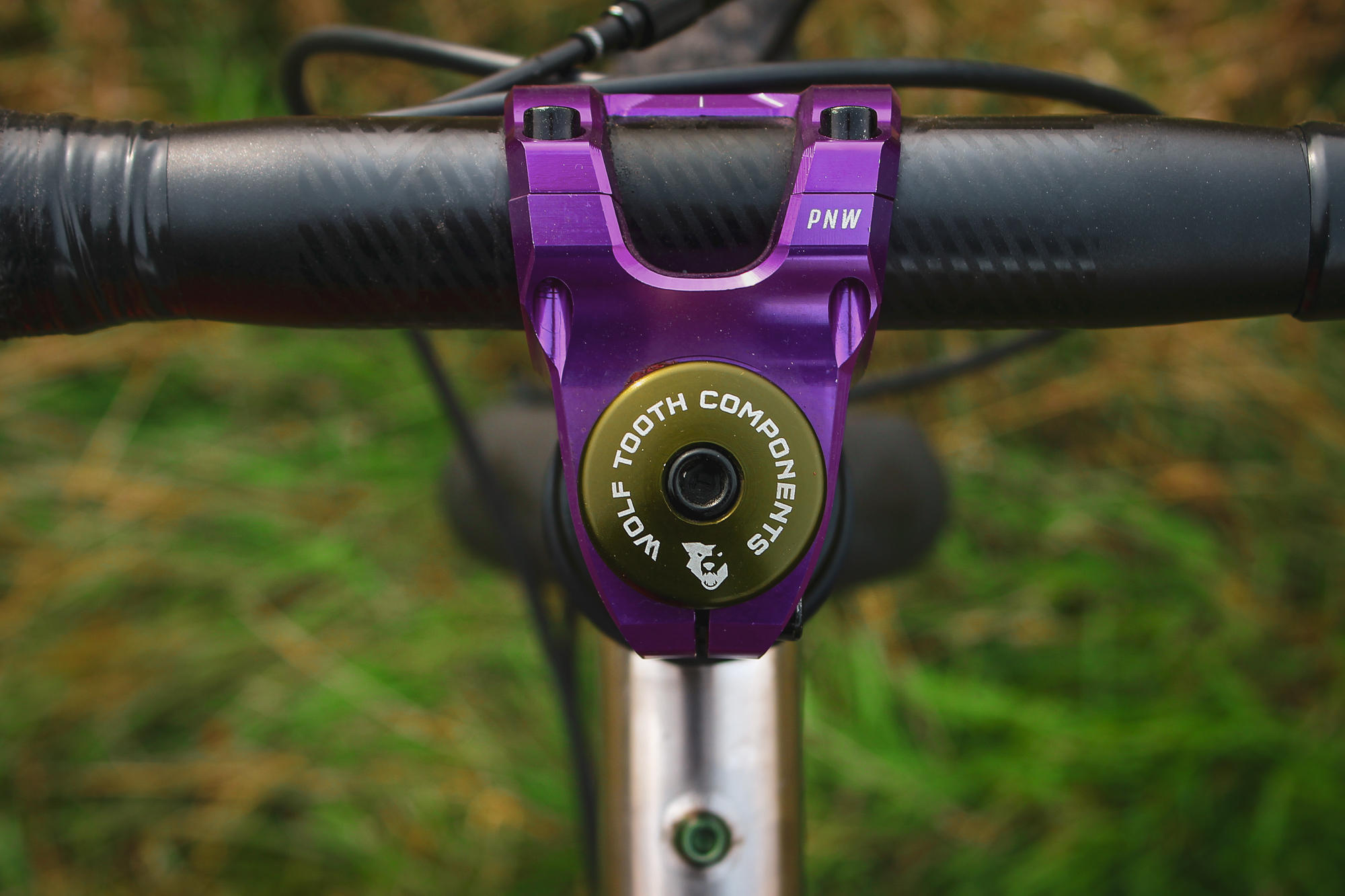 Chaparral Angeles Review: The Magic Footprint