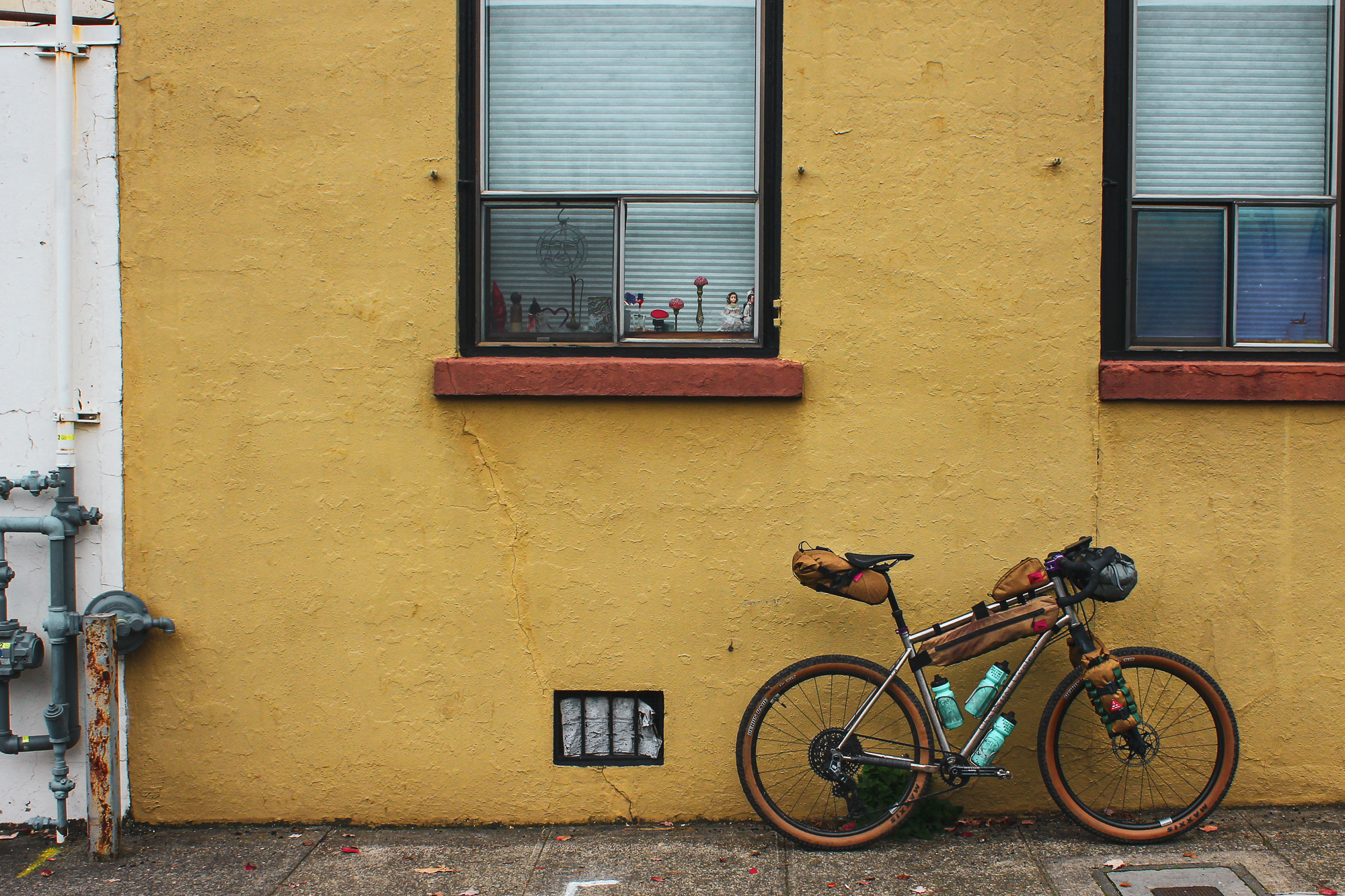 Chaparral Angeles Review: The Magic Footprint