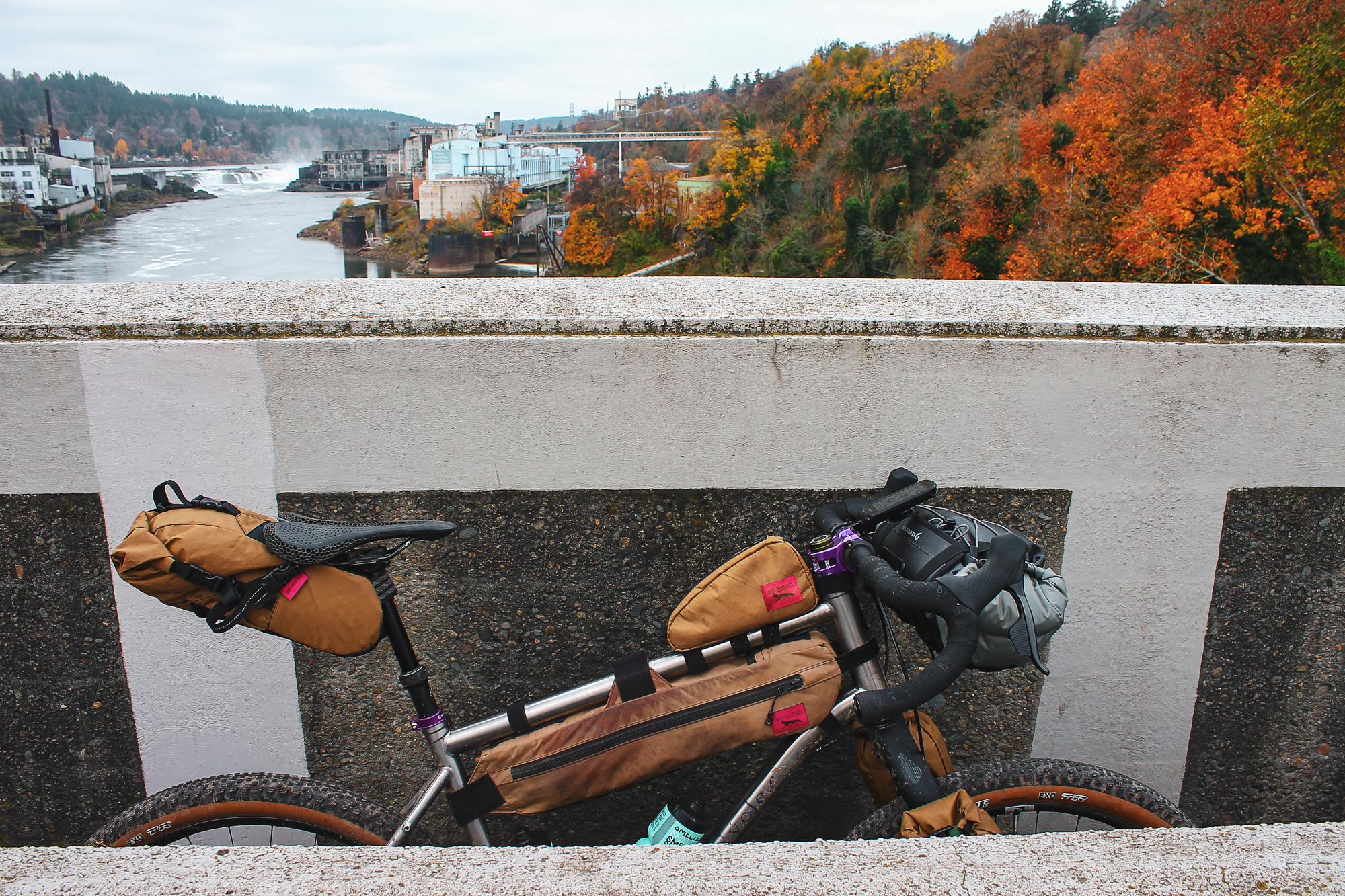 Chaparral Angeles Review: The Magic Footprint