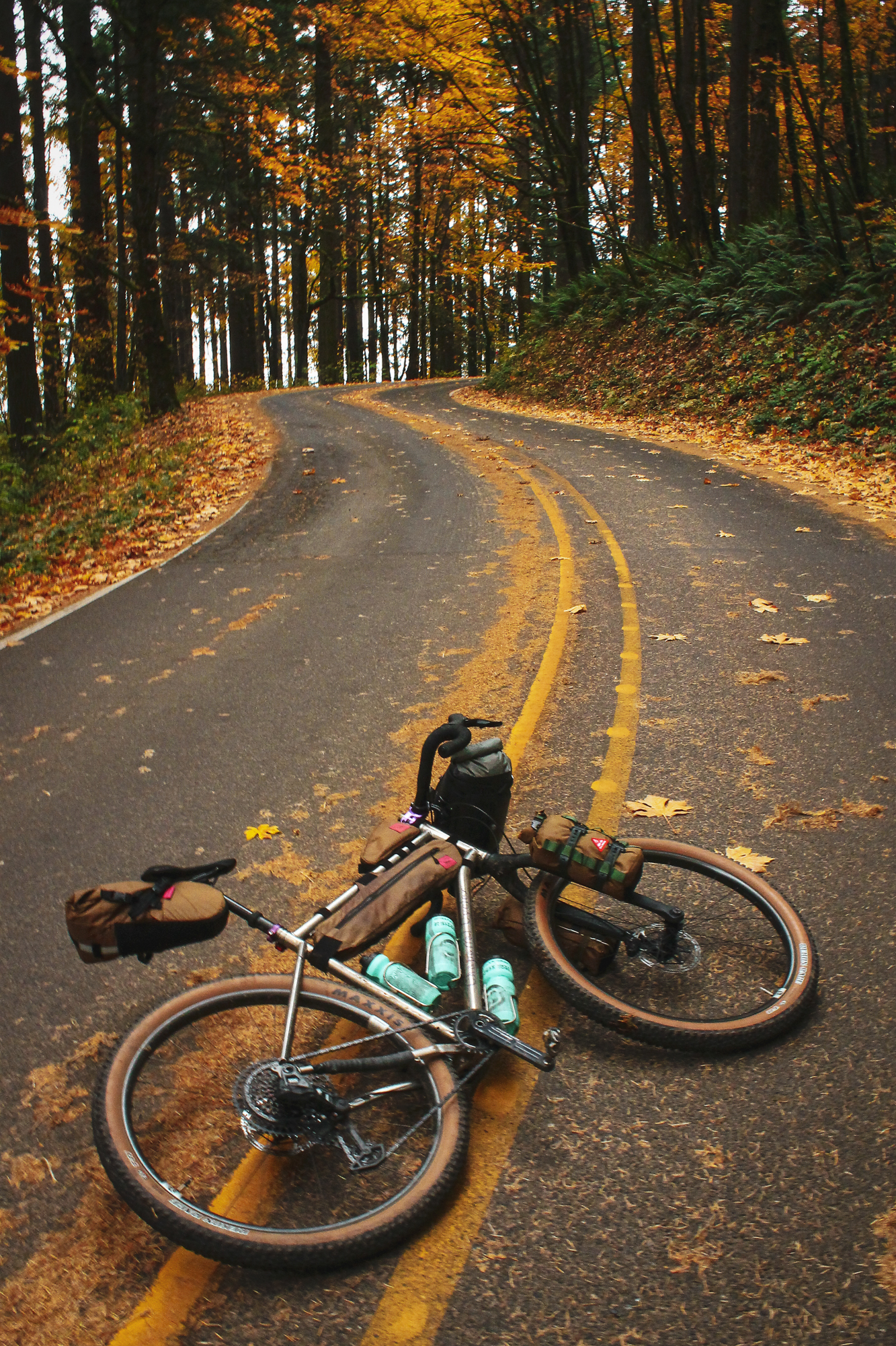 Chaparral Angeles Review: The Magic Footprint