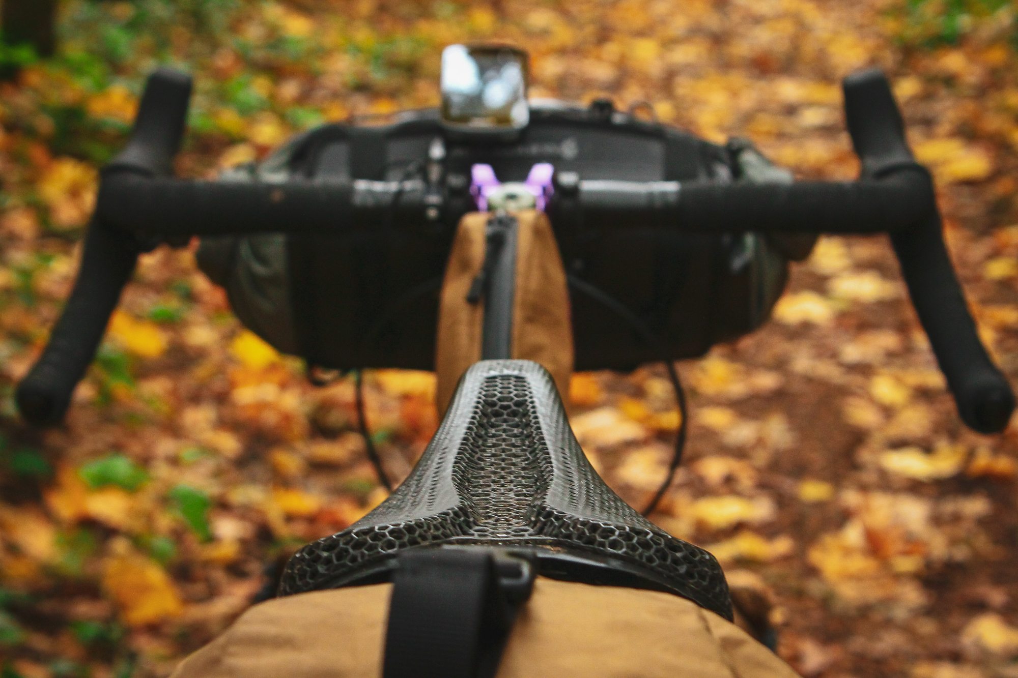 Chaparral Angeles Review: The Magic Footprint