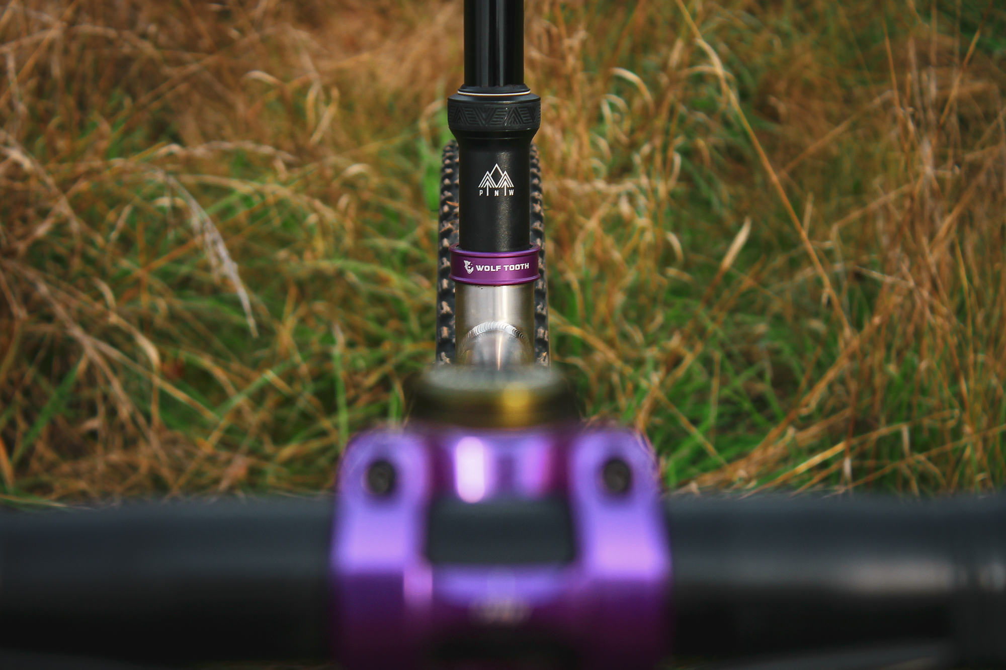 Chaparral Angeles Review: The Magic Footprint