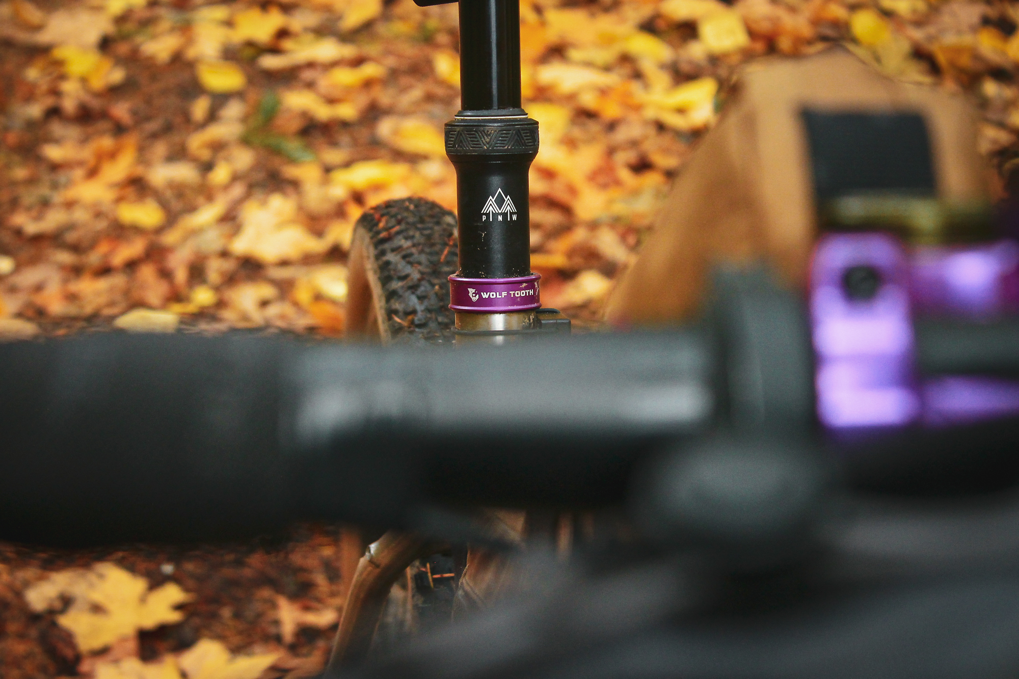 Chaparral Angeles Review: The Magic Footprint