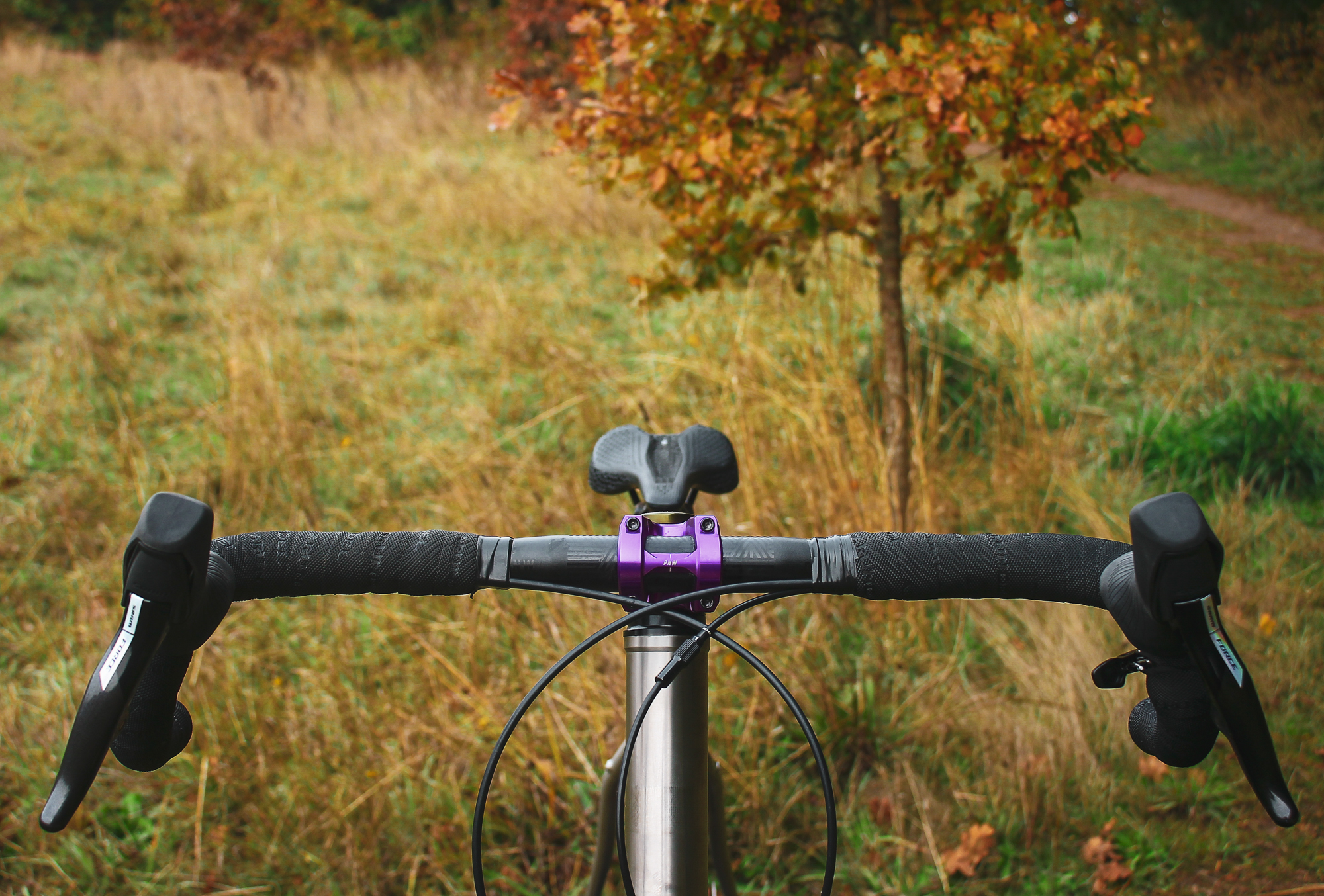 Chaparral Angeles Review: The Magic Footprint