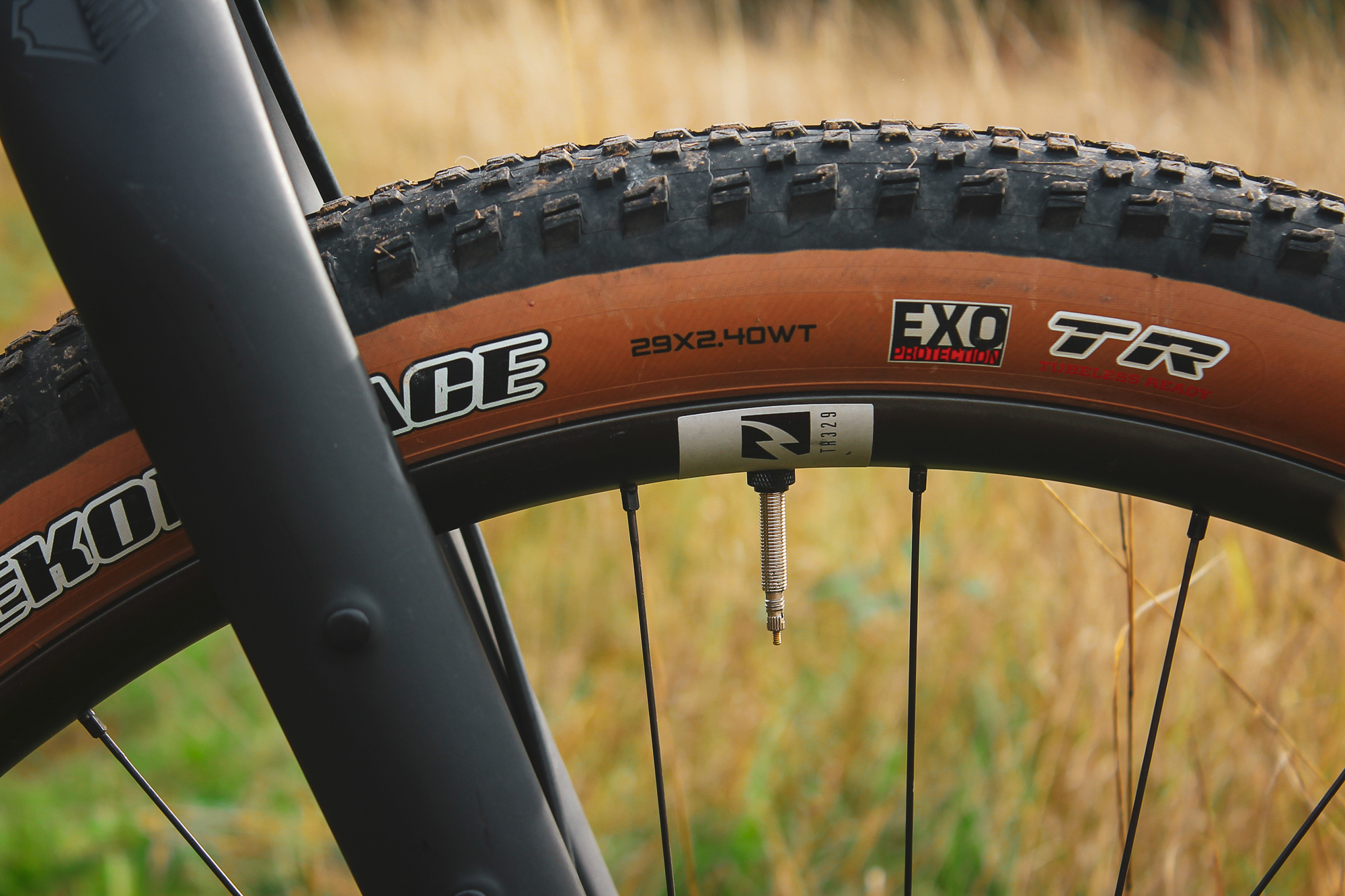 Chaparral Angeles Review: The Magic Footprint