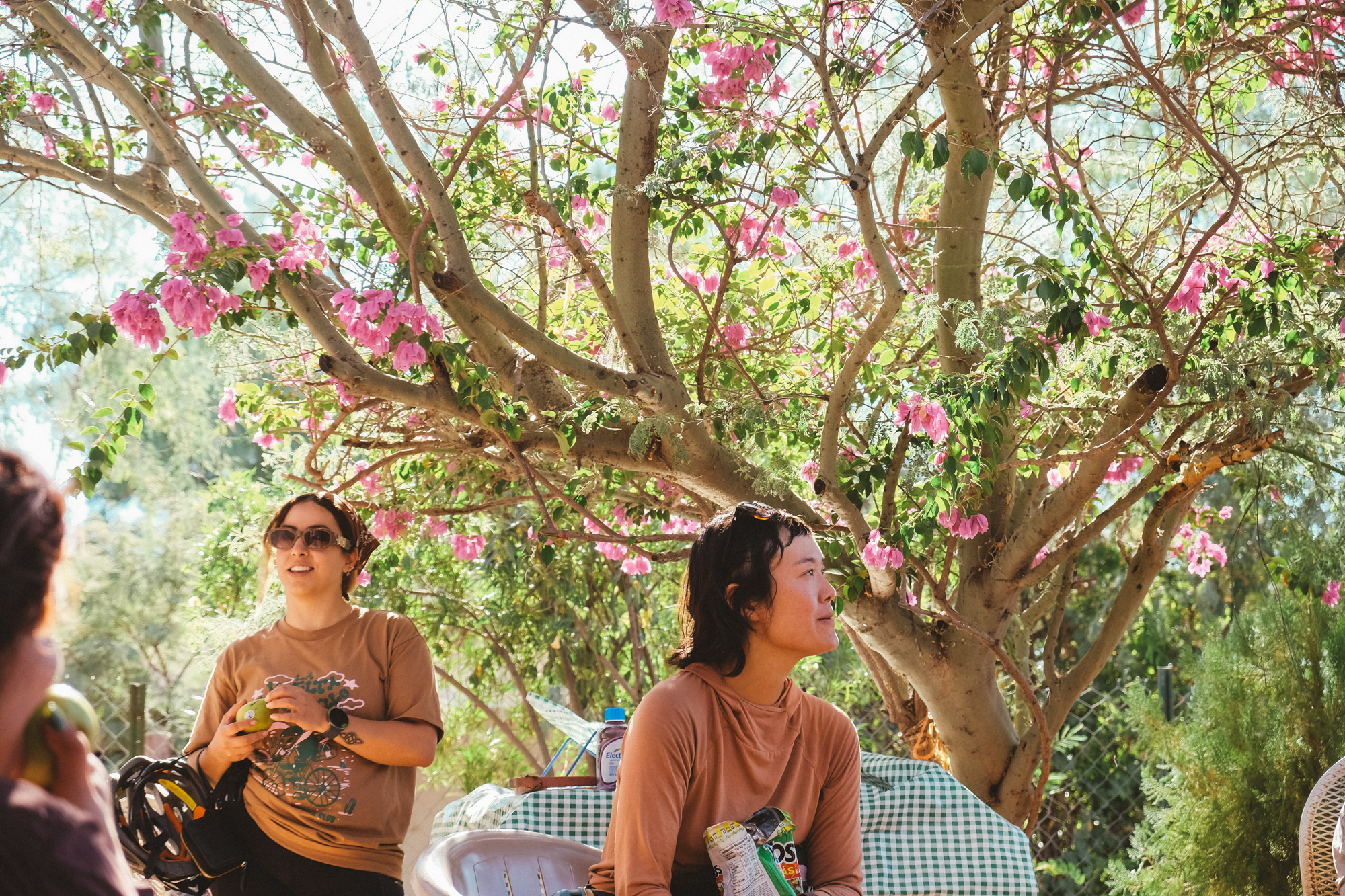 La Vuelta A Hermosillo