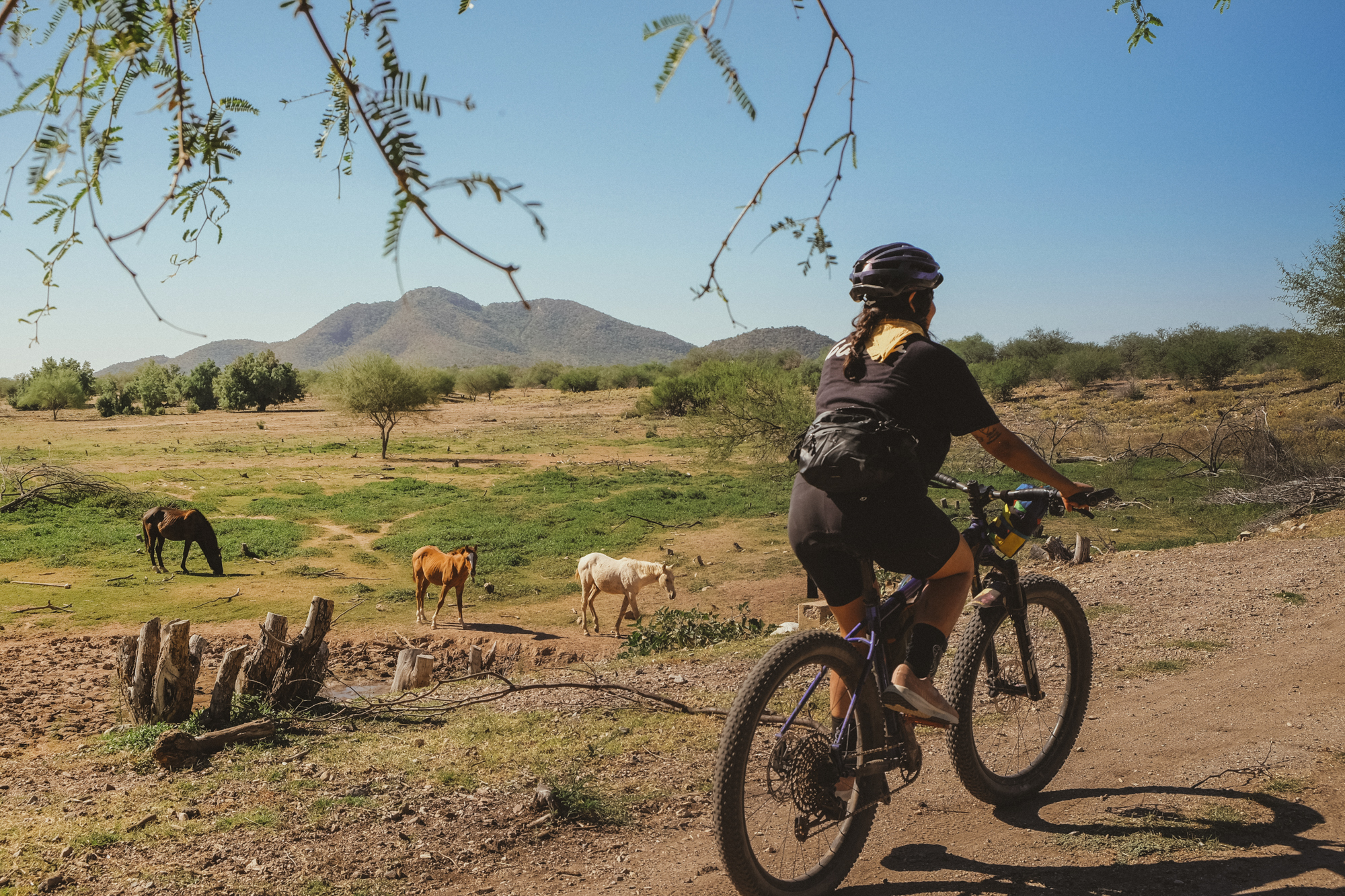 La Vuelta A Hermosillo