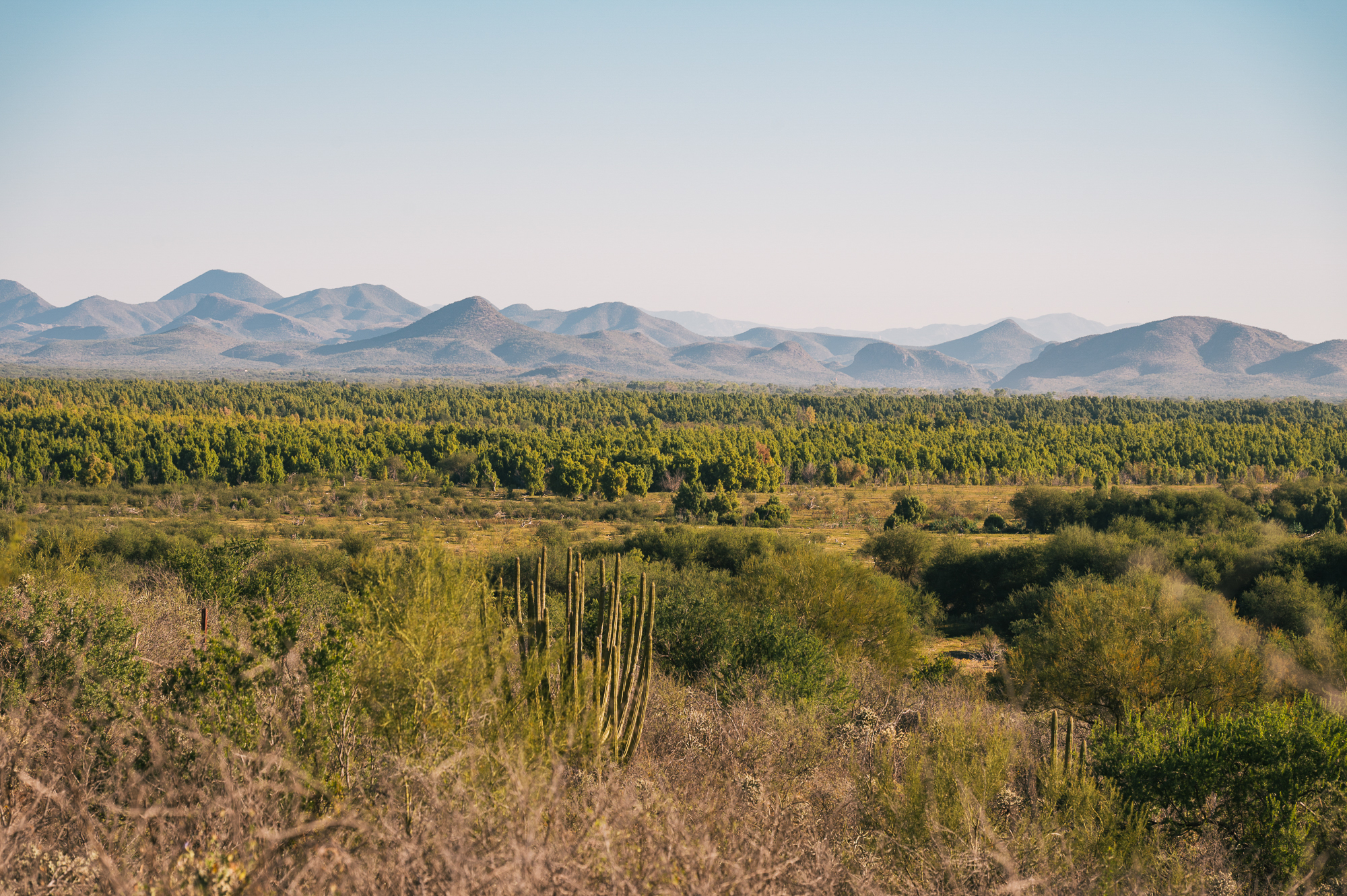 La Vuelta A Hermosillo