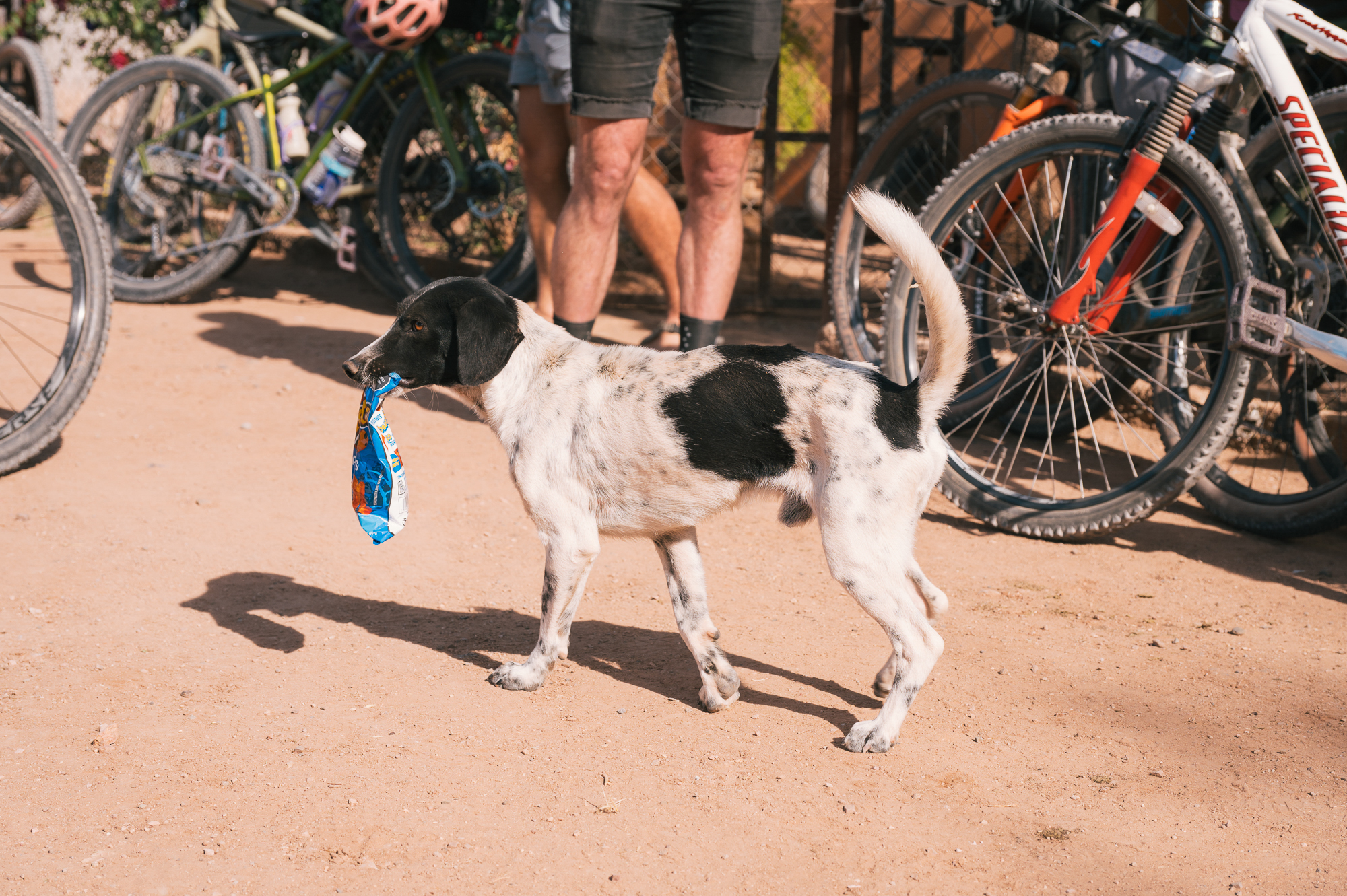 La Vuelta A Hermosillo