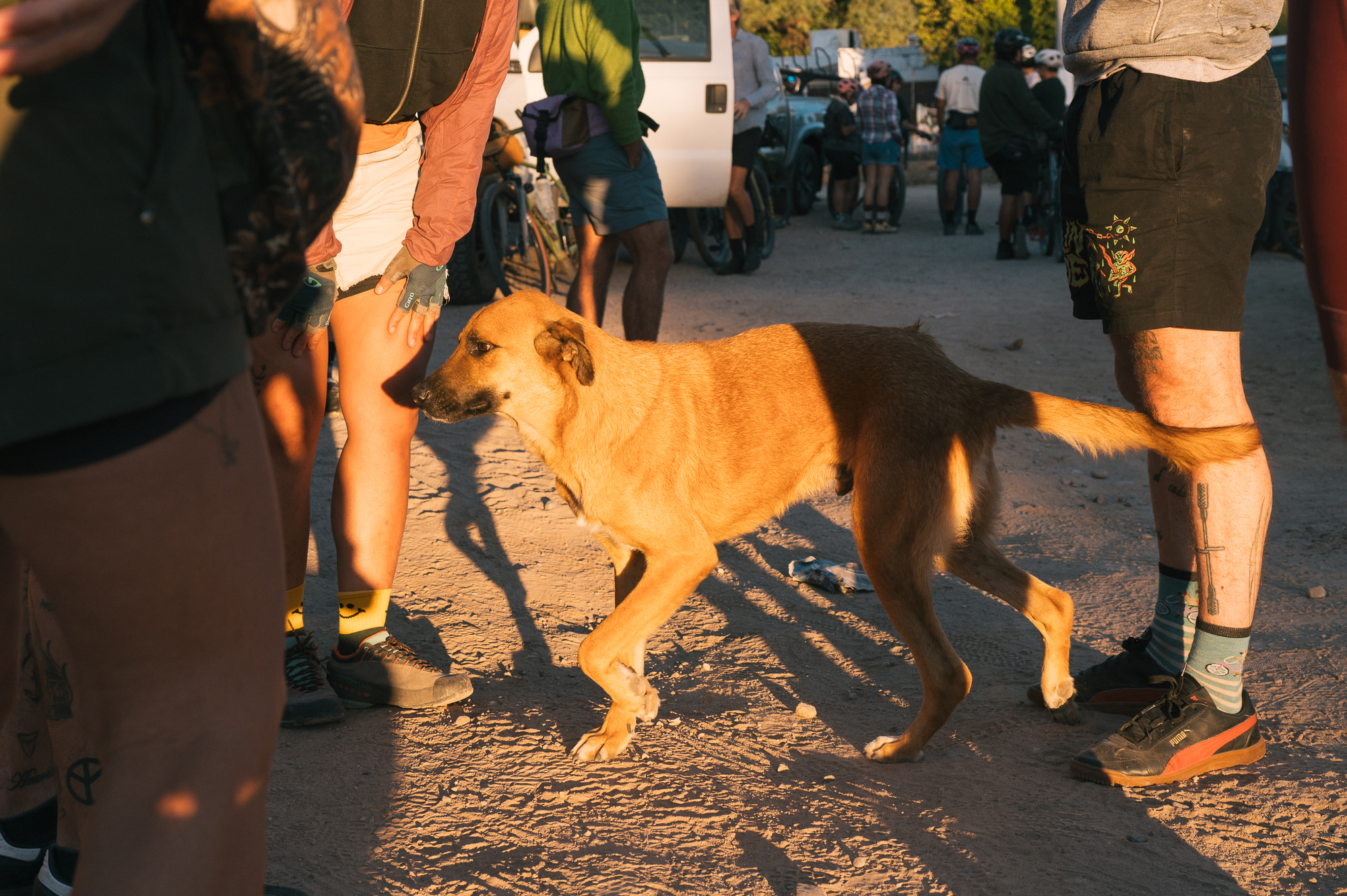La Vuelta A Hermosillo