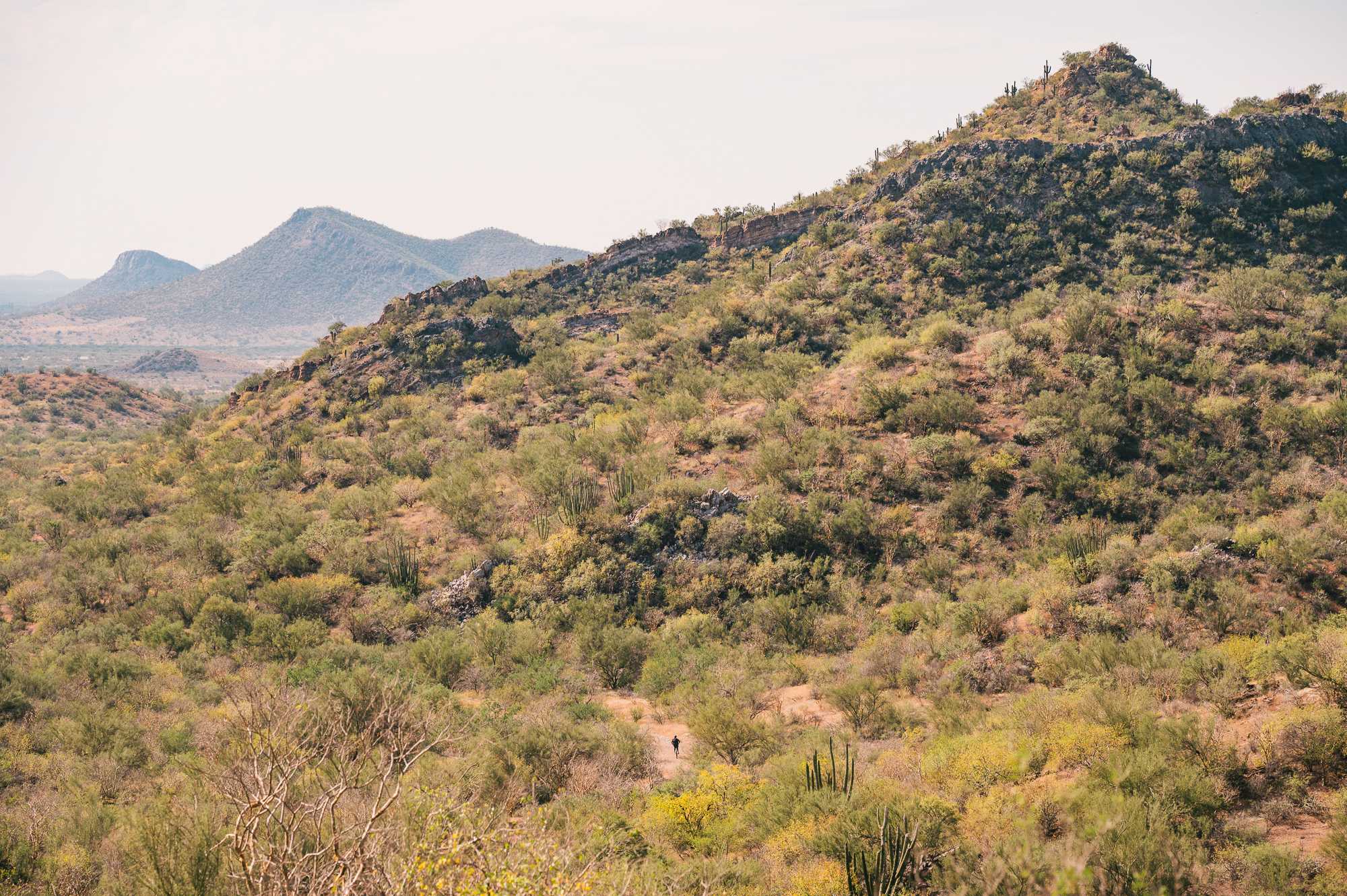 La Vuelta A Hermosillo