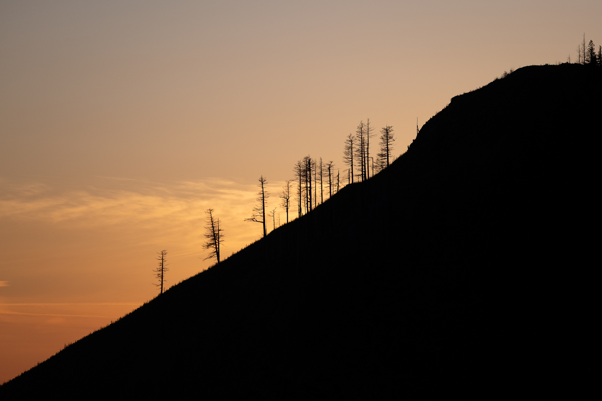 Radical Rigs: Paul Kalifatidi, his 1996 KZJ95 Land Cruiser Prado