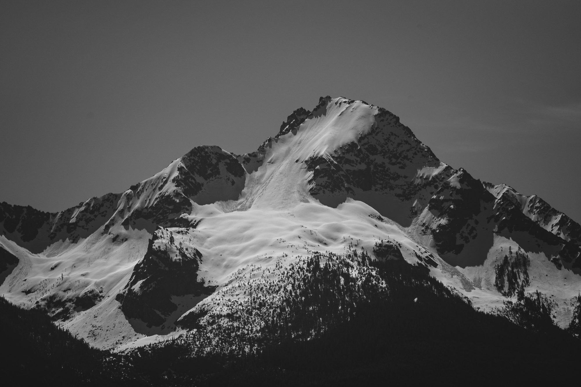 Radical Rigs: Paul Kalifatidi, his 1996 KZJ95 Land Cruiser Prado