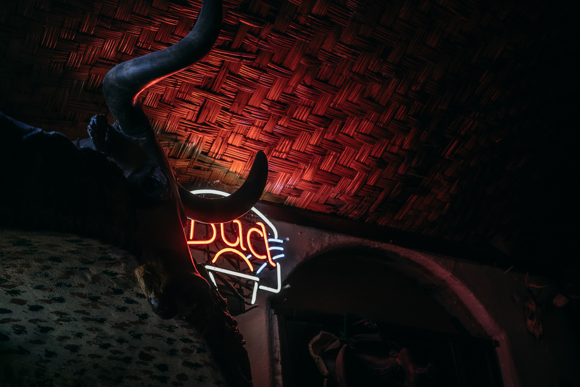 SSAZ26: This Is Not A Bicycle Race