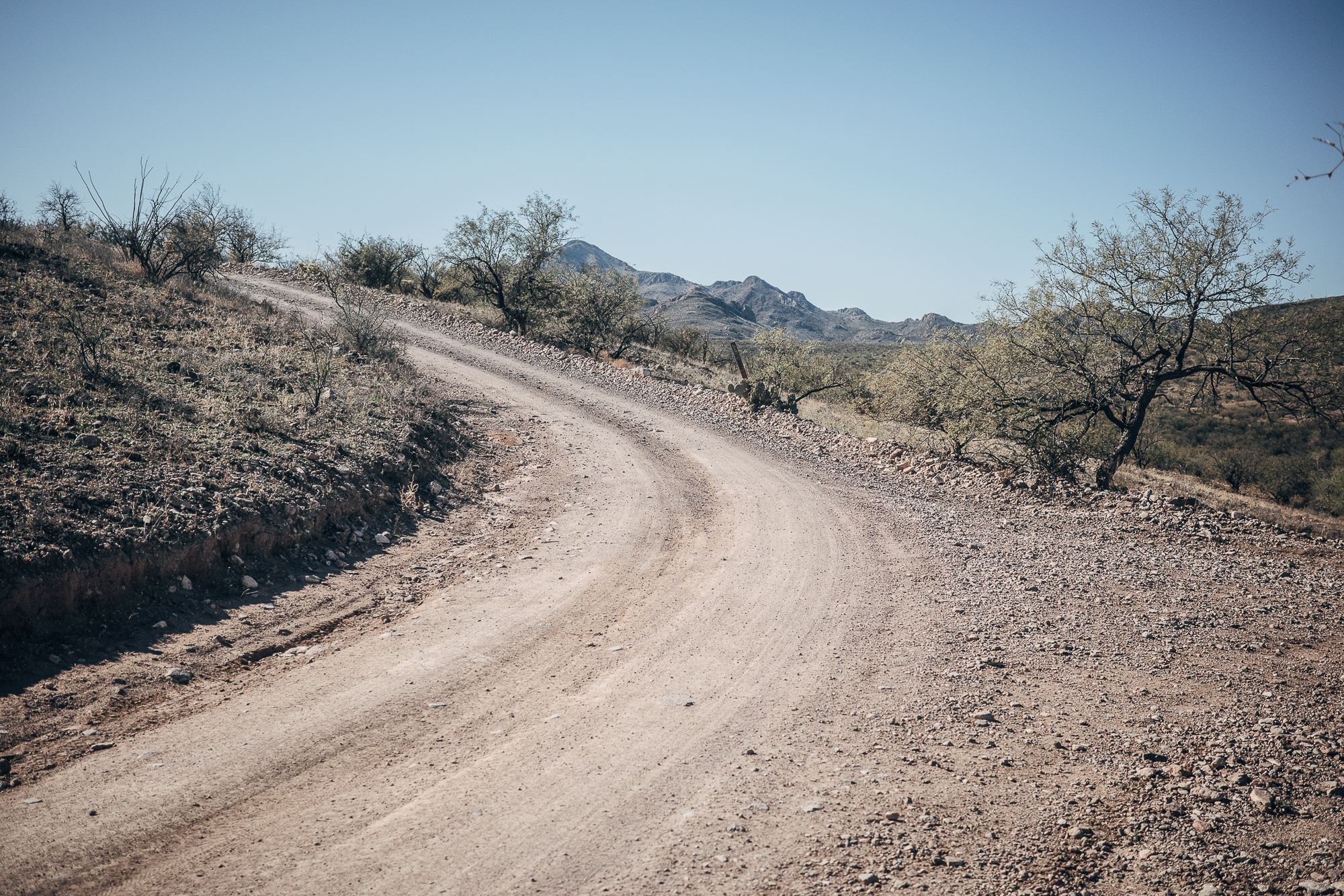 SSAZ26: This Is Not A Bicycle Race