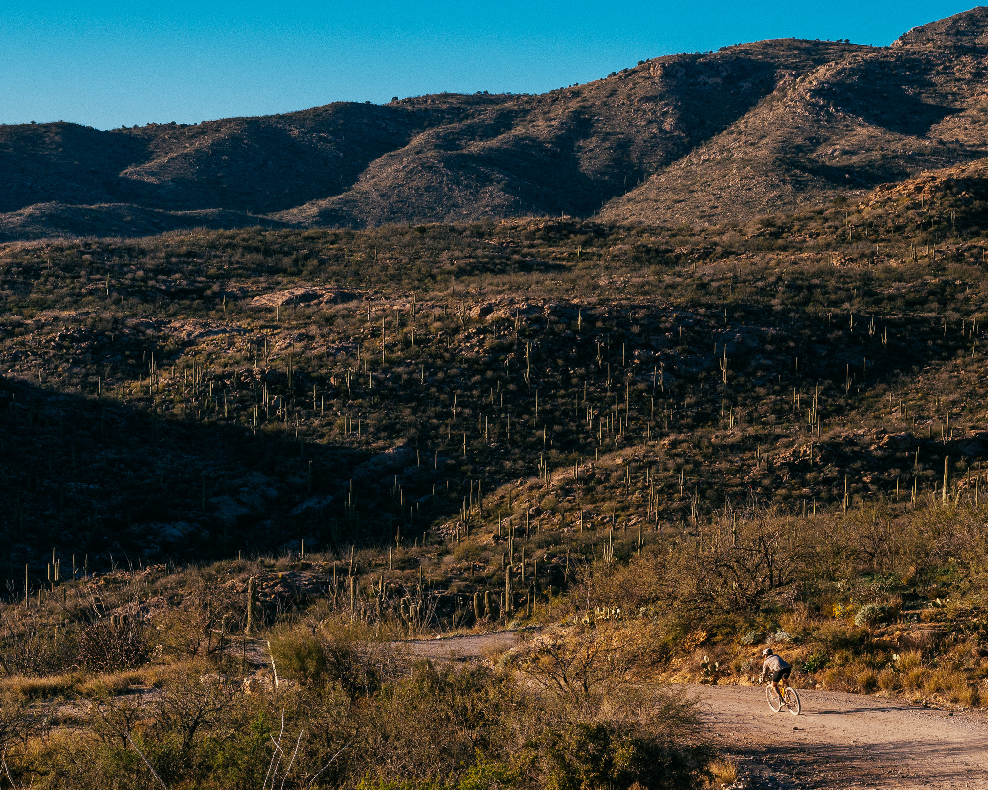 Crust Bikes Nor'Easter Review-17