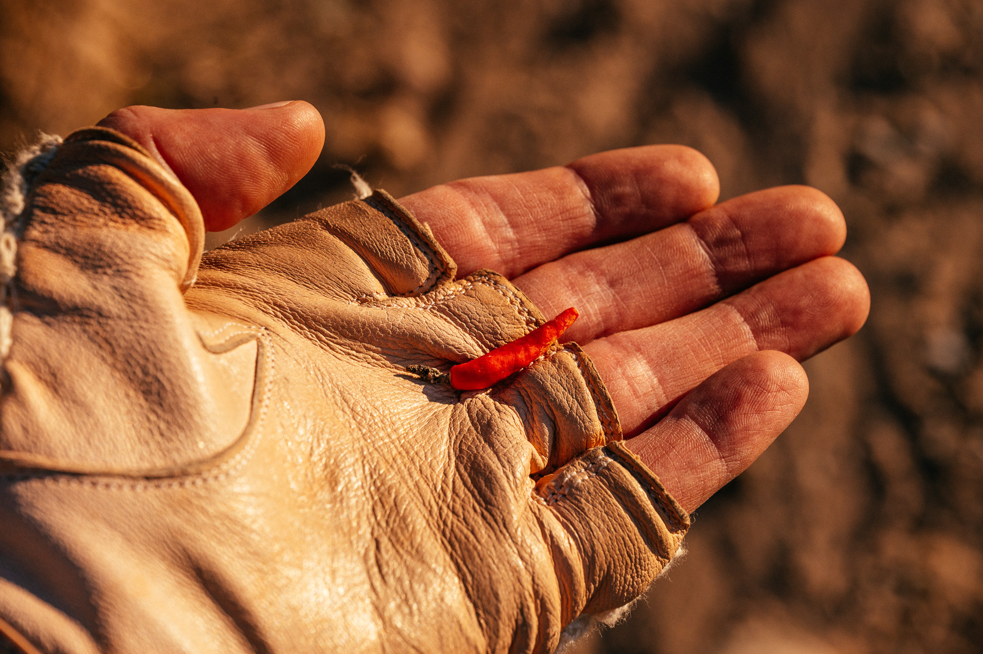 Crust Bikes Nor'Easter Review-24