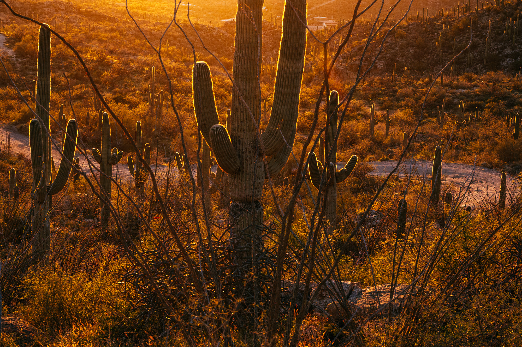Crust Bikes Nor'Easter Review-36