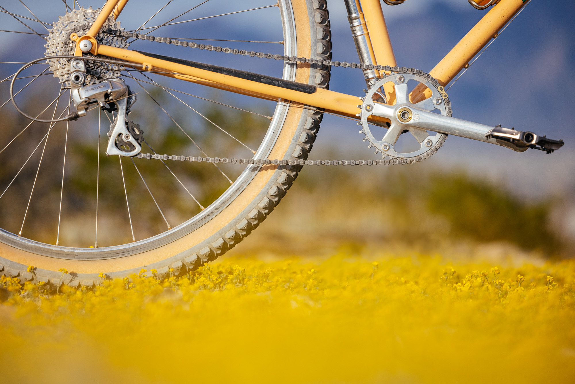 Crust Bikes Nor'Easter Review-45