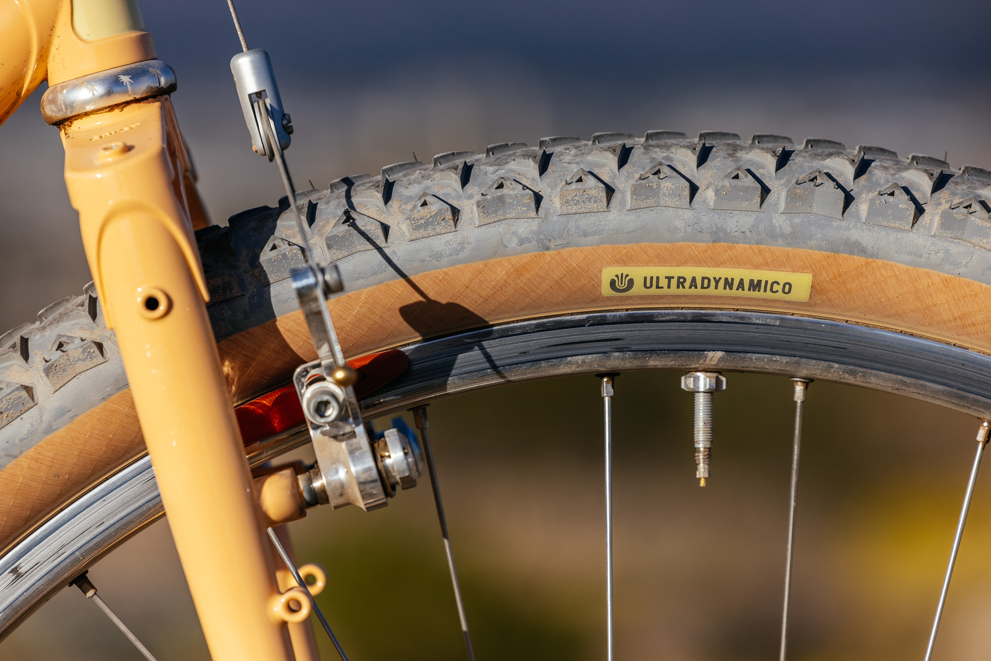 Crust Bikes Nor'Easter Review-53