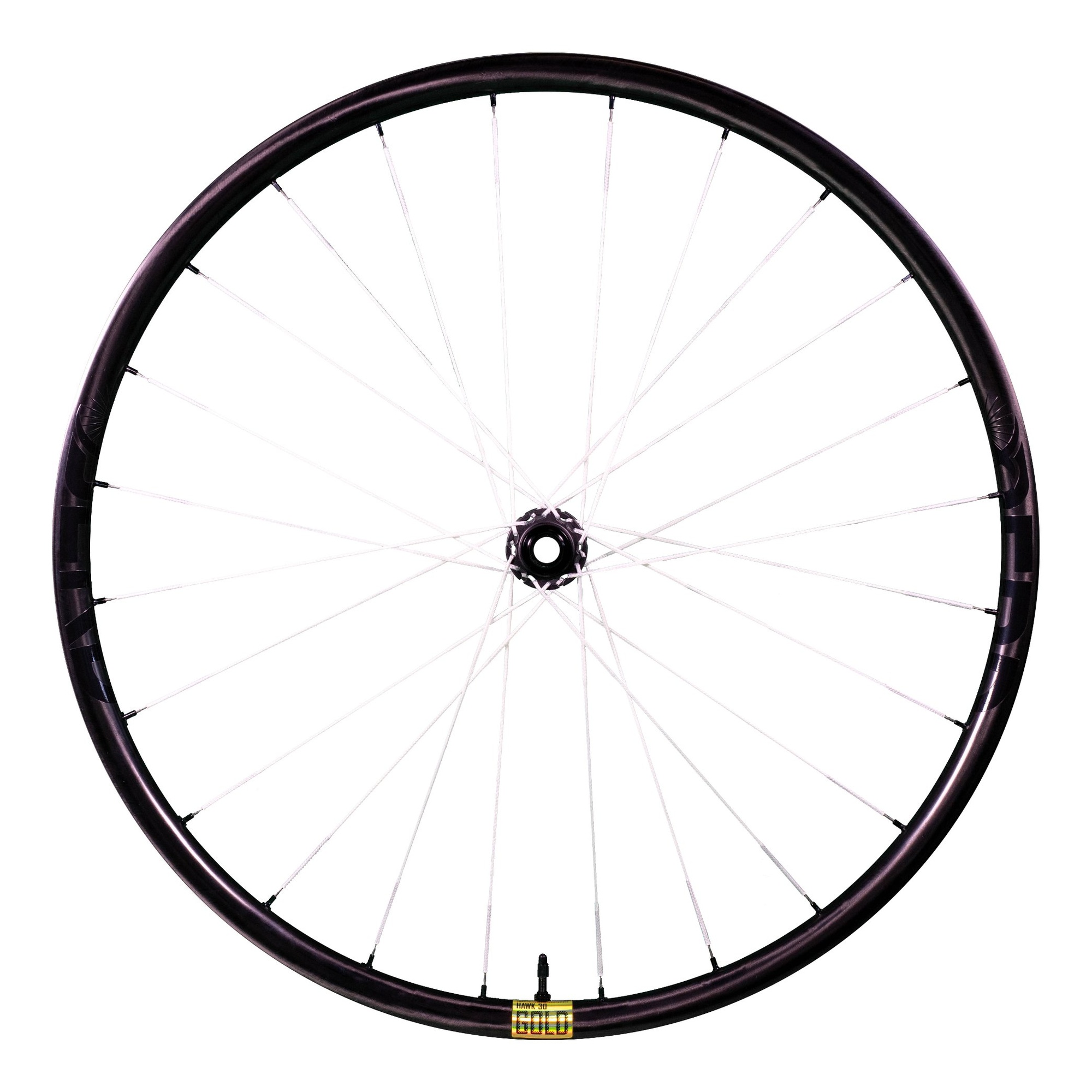 The Berd Hawk30 Gold Wheels Weigh 1022 Grams – Paul Kalifatidi | The ...