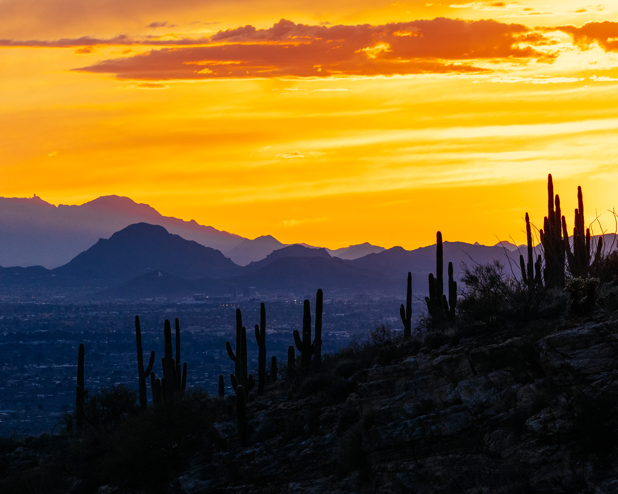 Sour Bicycles Cowboy Cookie Review