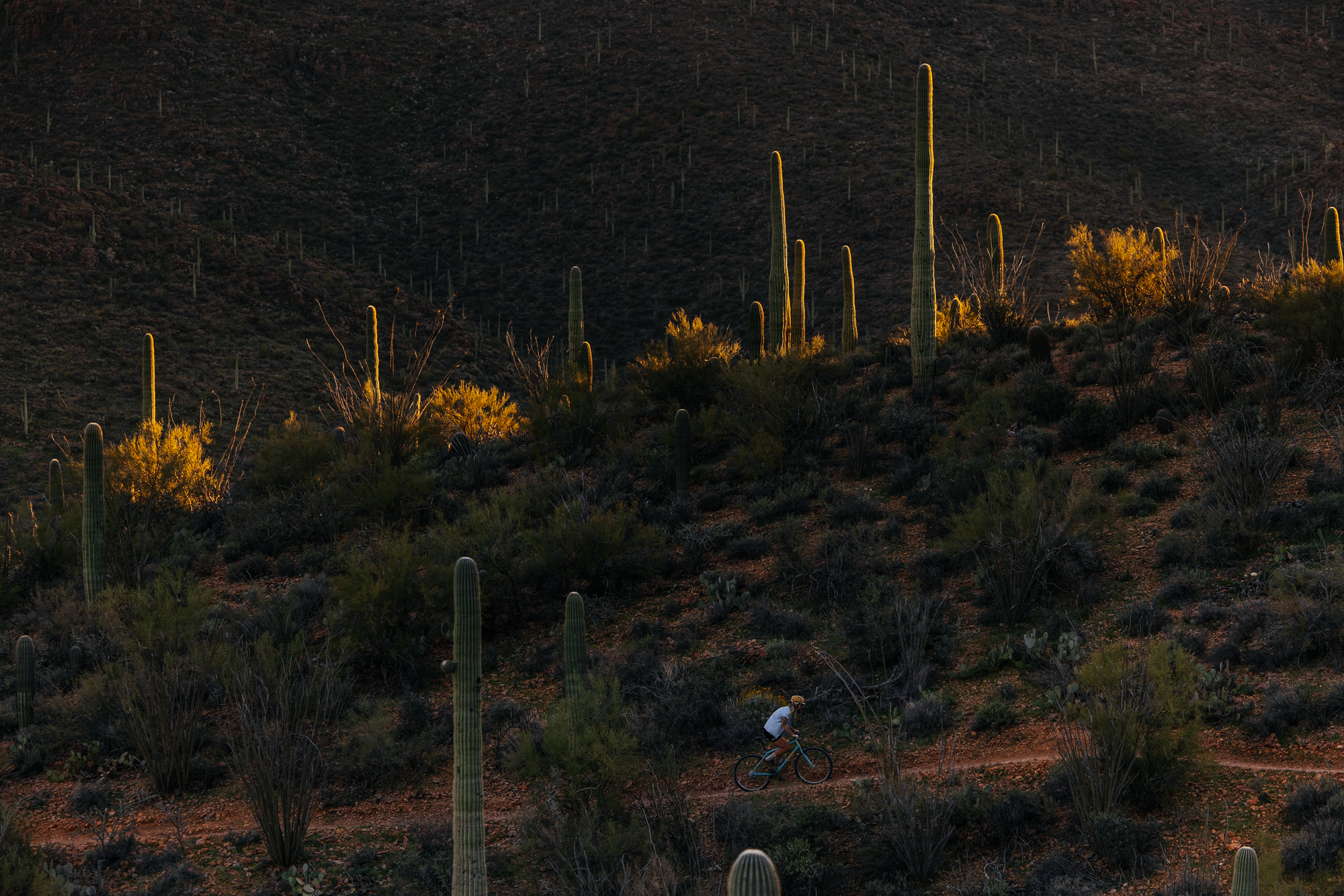 Ronnie and His R-Werks EVOO 29er-17