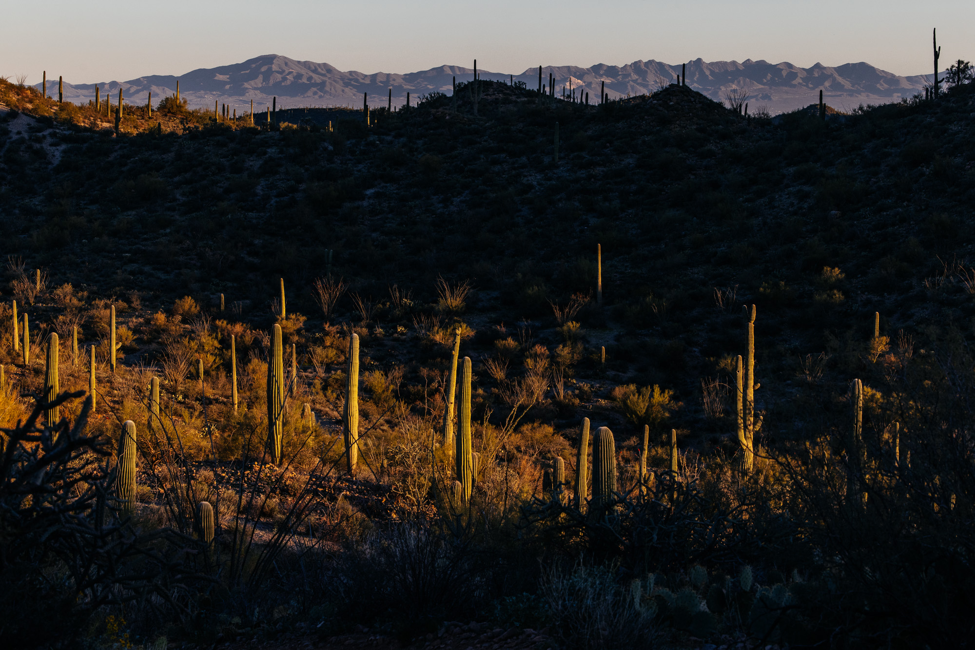 Ronnie and His R-Werks EVOO 29er-19