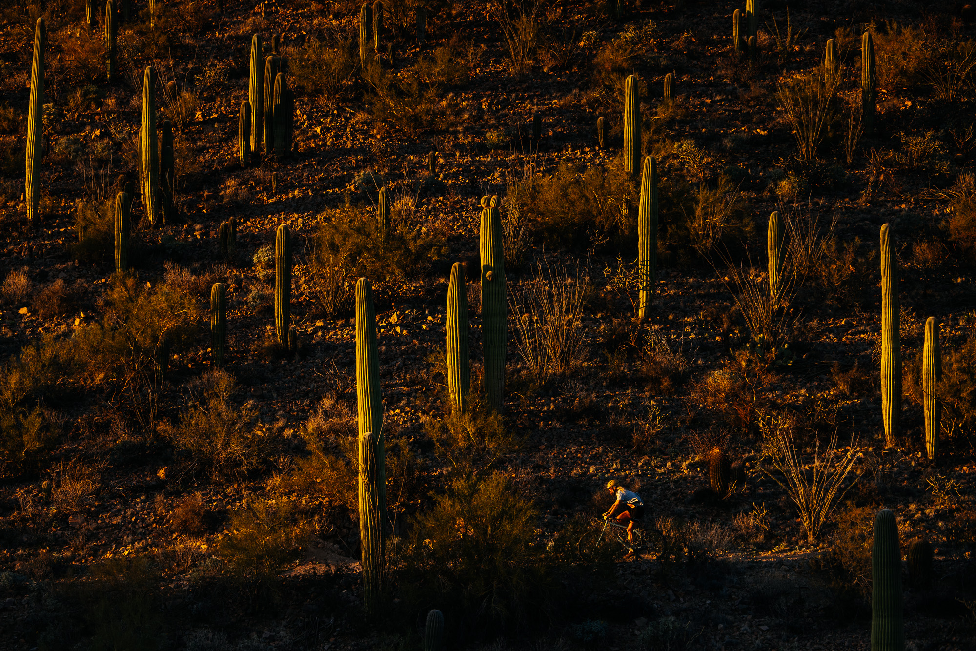 Ronnie and His R-Werks EVOO 29er-20