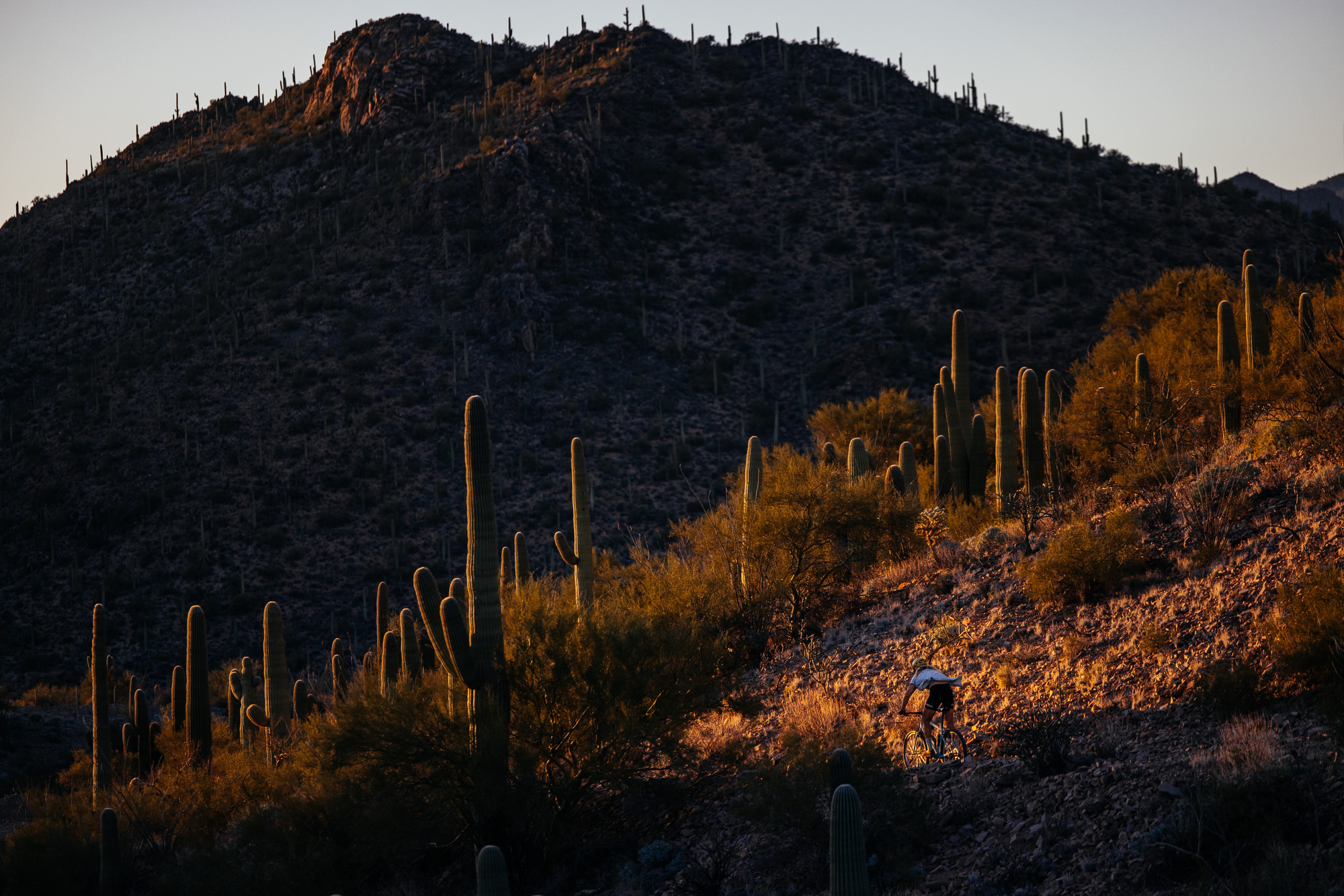Ronnie and His R-Werks EVOO 29er-21